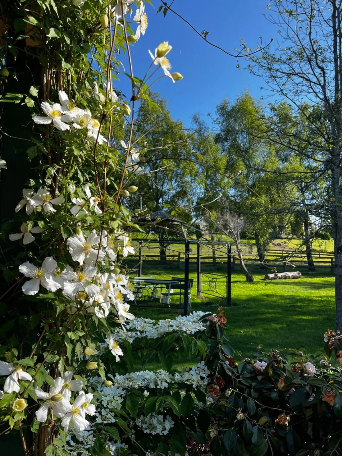 Spring in Green Gables B&B Waterfront Apartment or Garden Studio