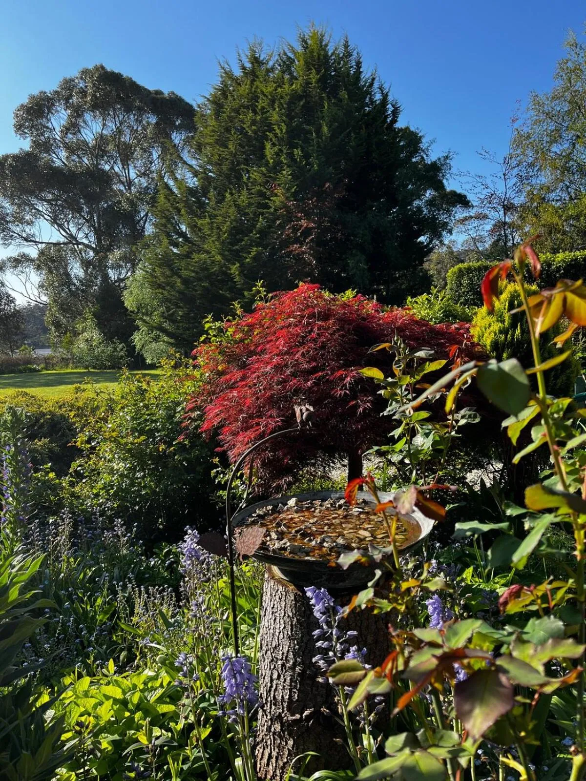 Garden in Green Gables B&B Waterfront Apartment or Garden Studio
