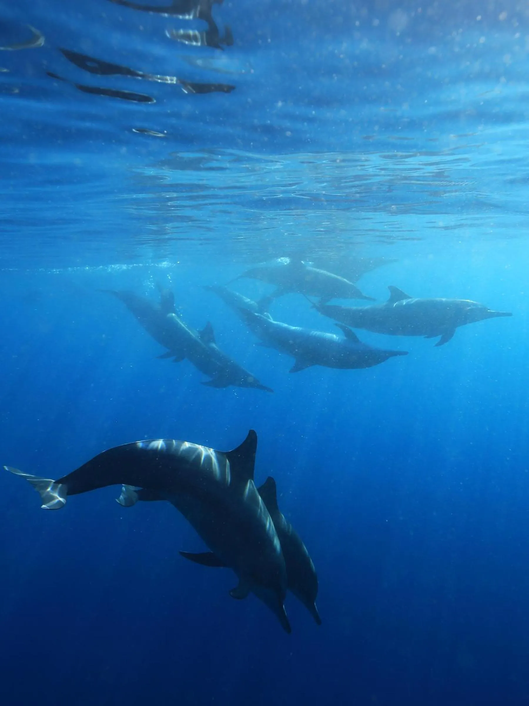 Off site in Taklam Lodge And Tours