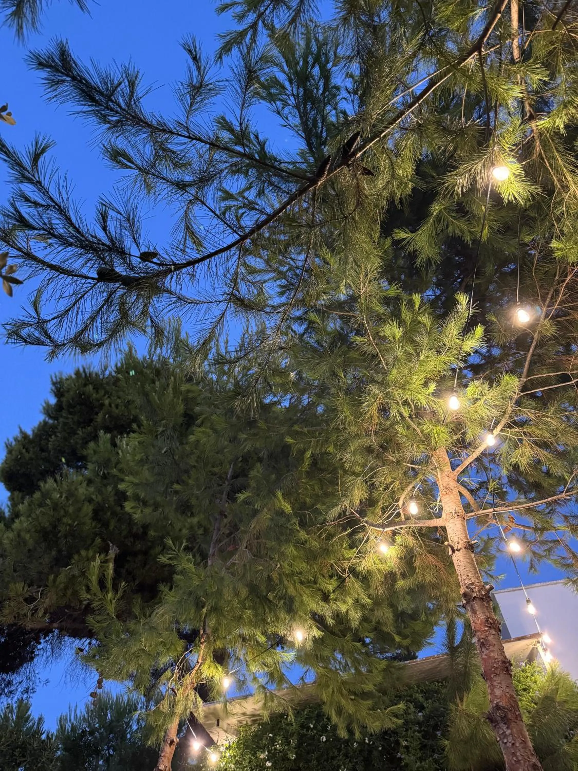 Garden in Krasì B&B