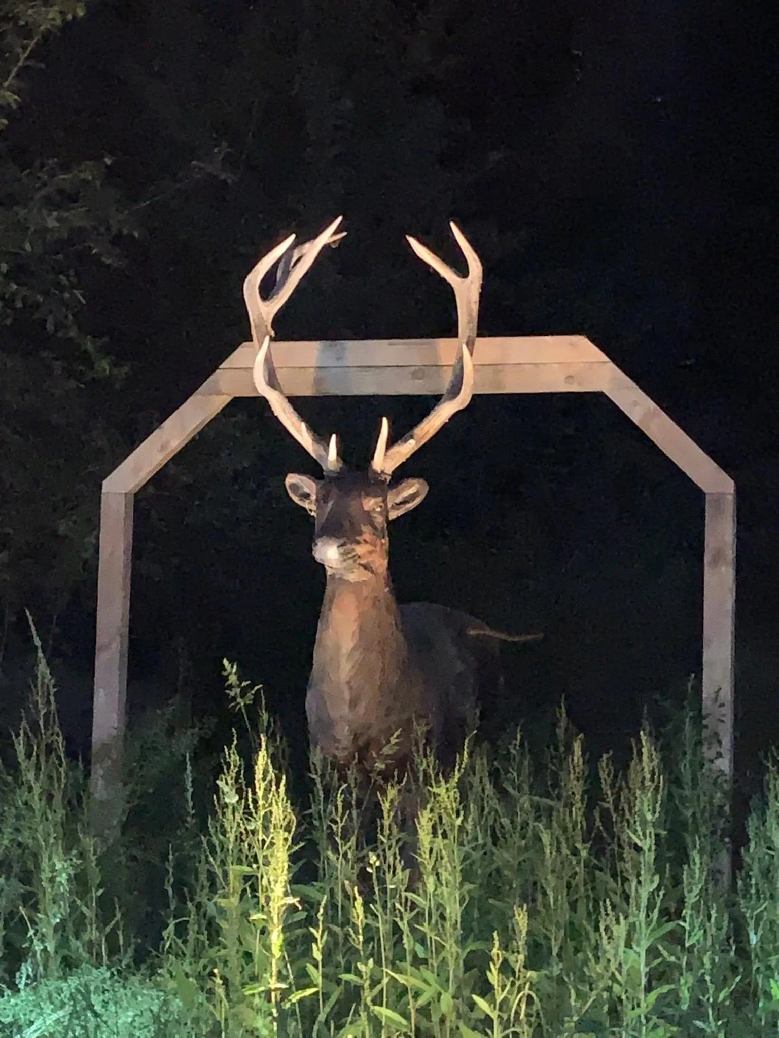 ORANGERIE de CHATEL-Selection FIGARO & ELLE Magazine