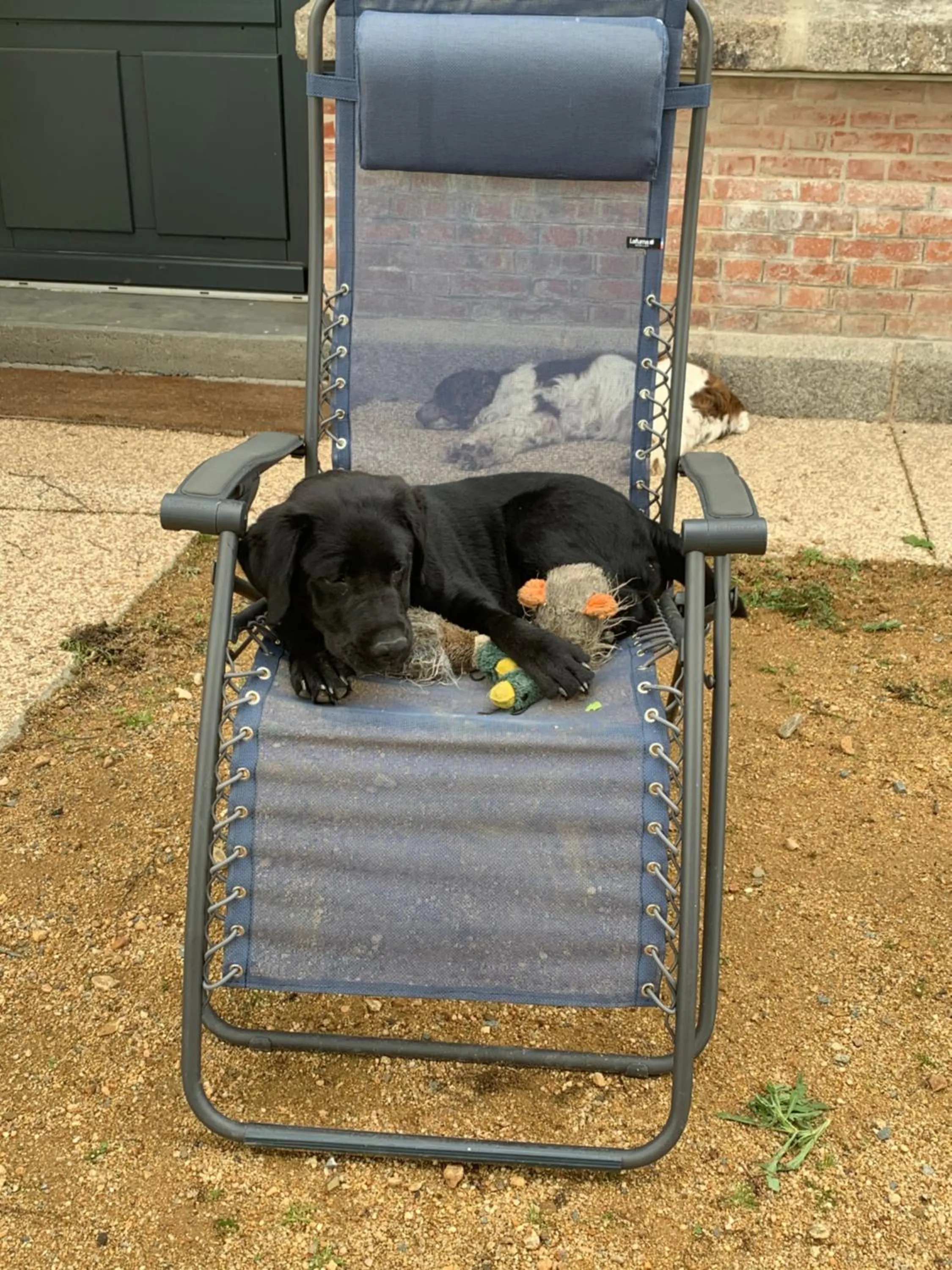 ORANGERIE de CHATEL-Selection FIGARO & ELLE Magazine