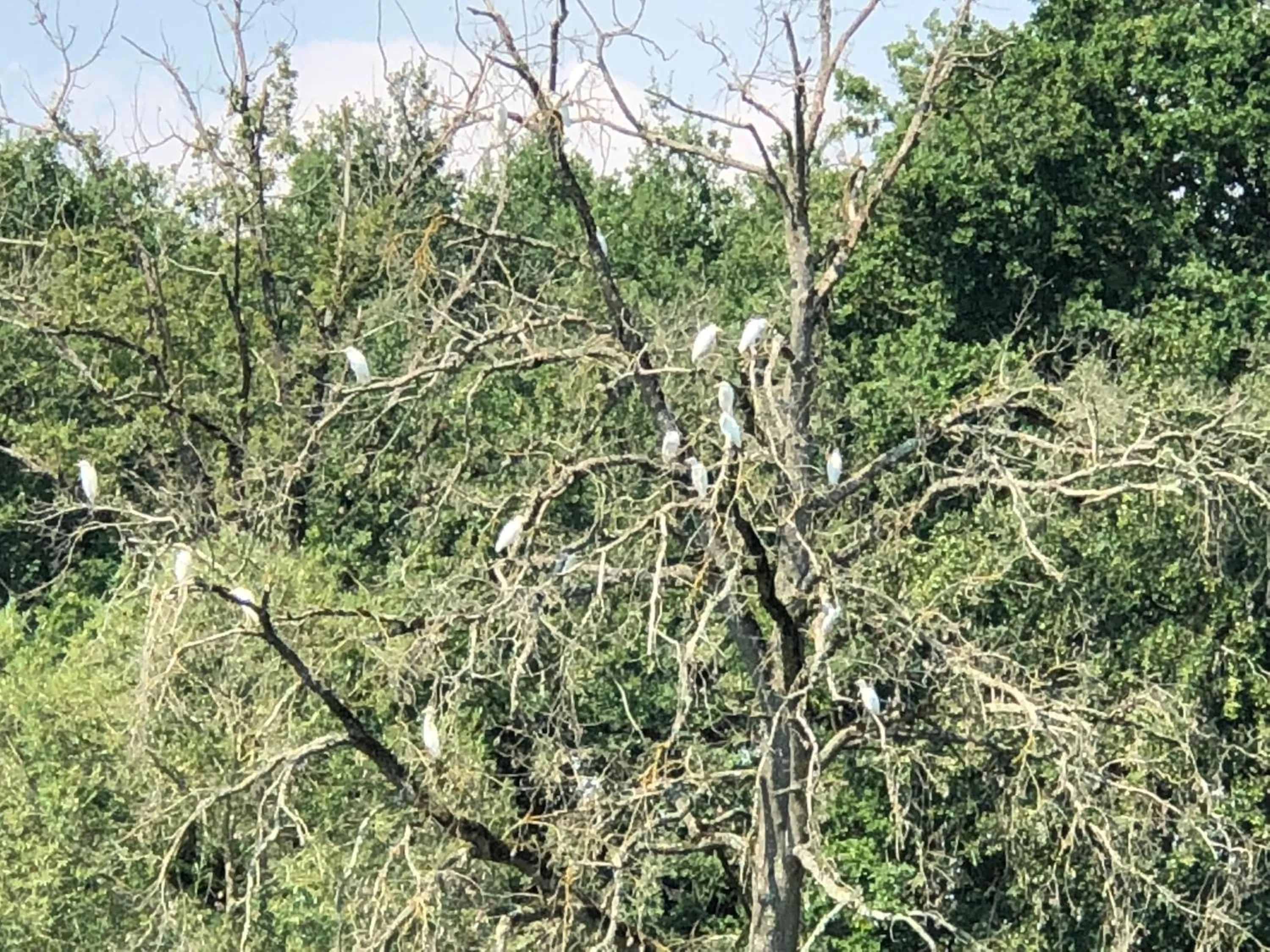 ORANGERIE de CHATEL-Selection FIGARO & ELLE Magazine