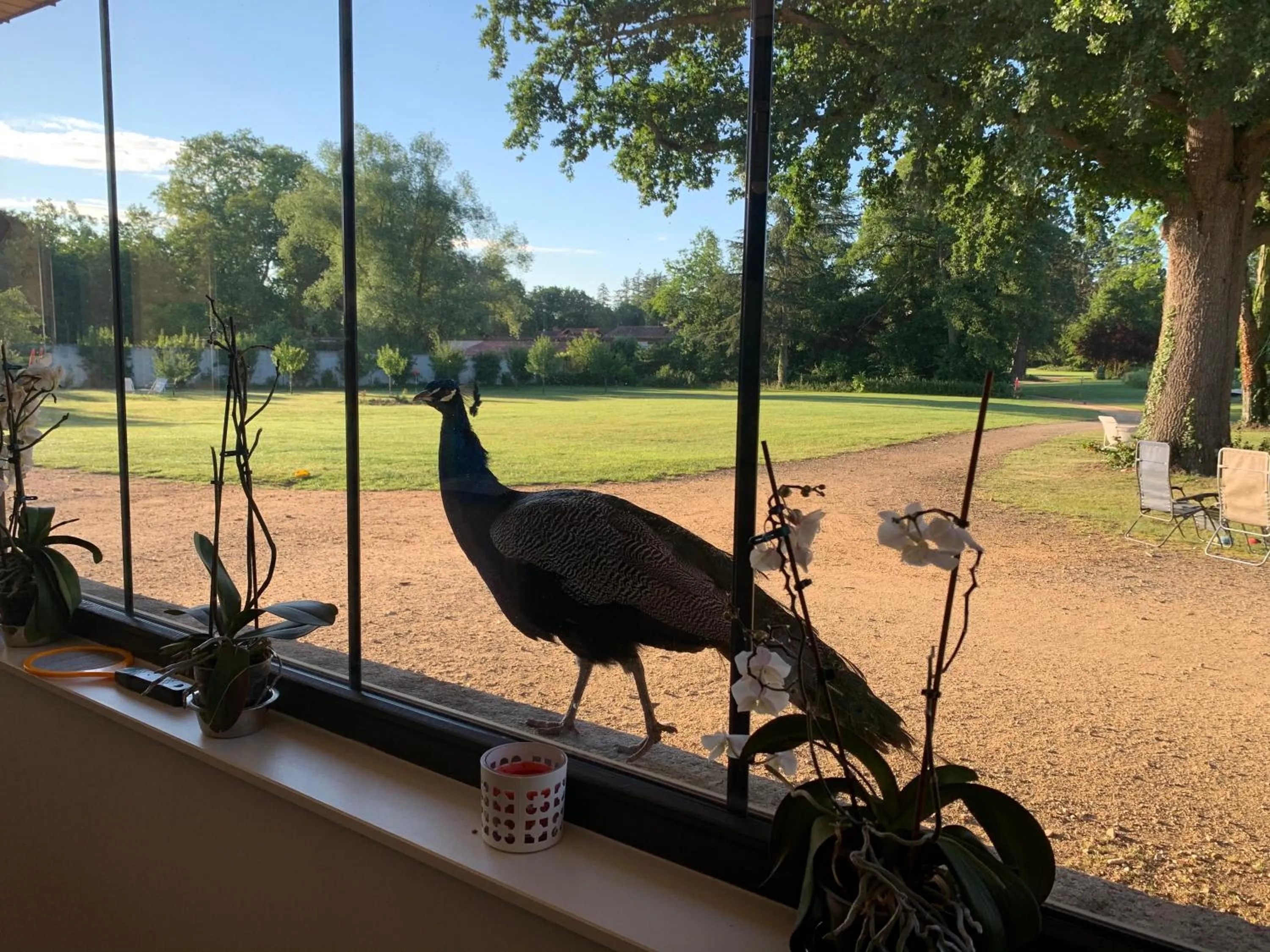 ORANGERIE de CHATEL-Selection FIGARO & ELLE Magazine