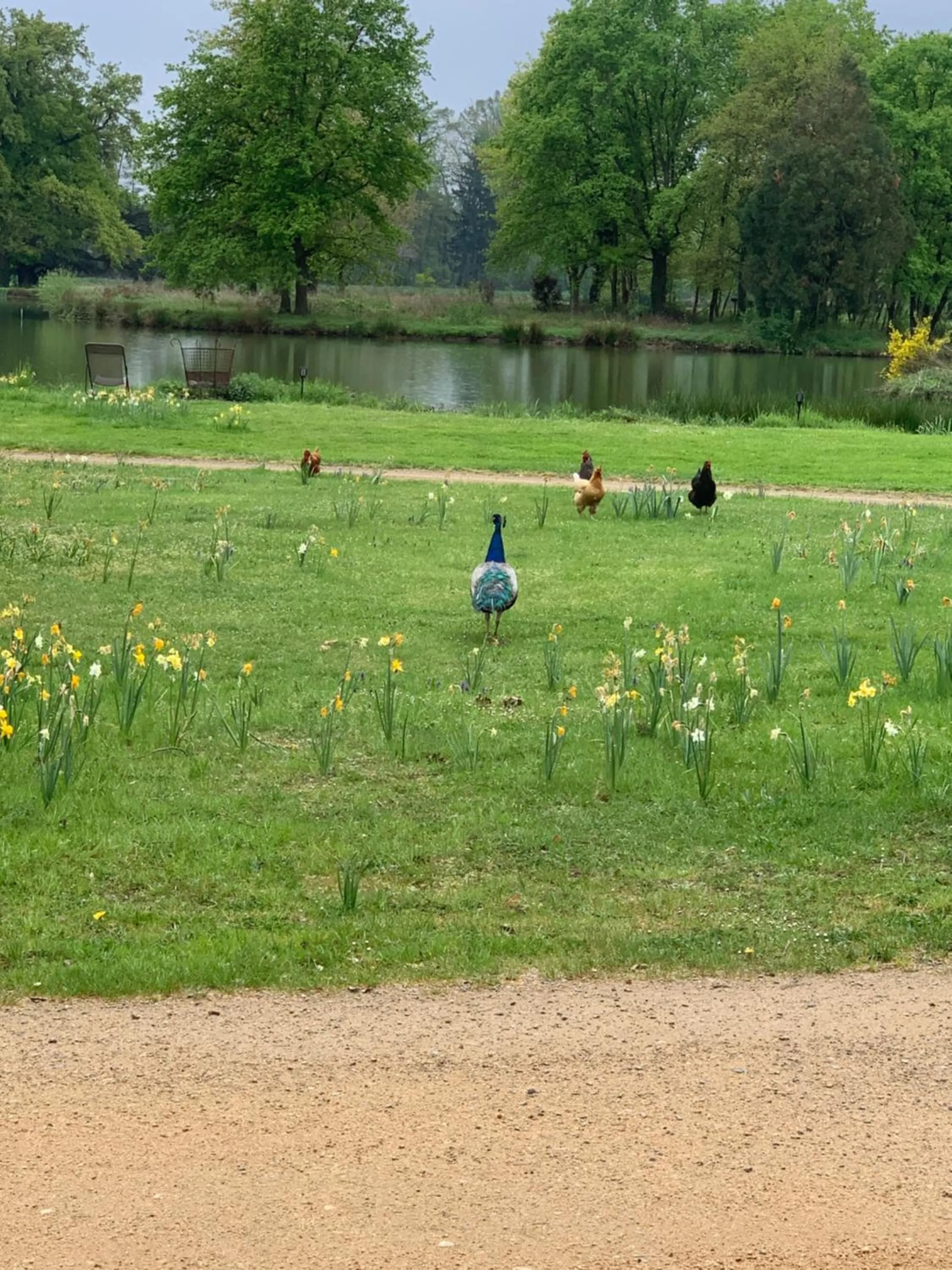 ORANGERIE de CHATEL-Selection FIGARO & ELLE Magazine
