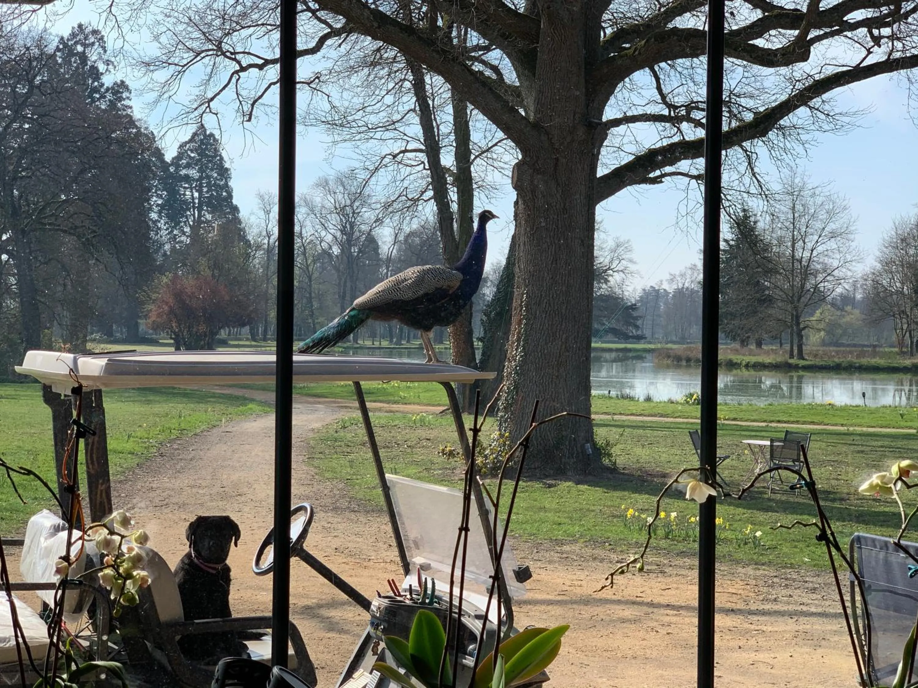 ORANGERIE de CHATEL-Selection FIGARO & ELLE Magazine