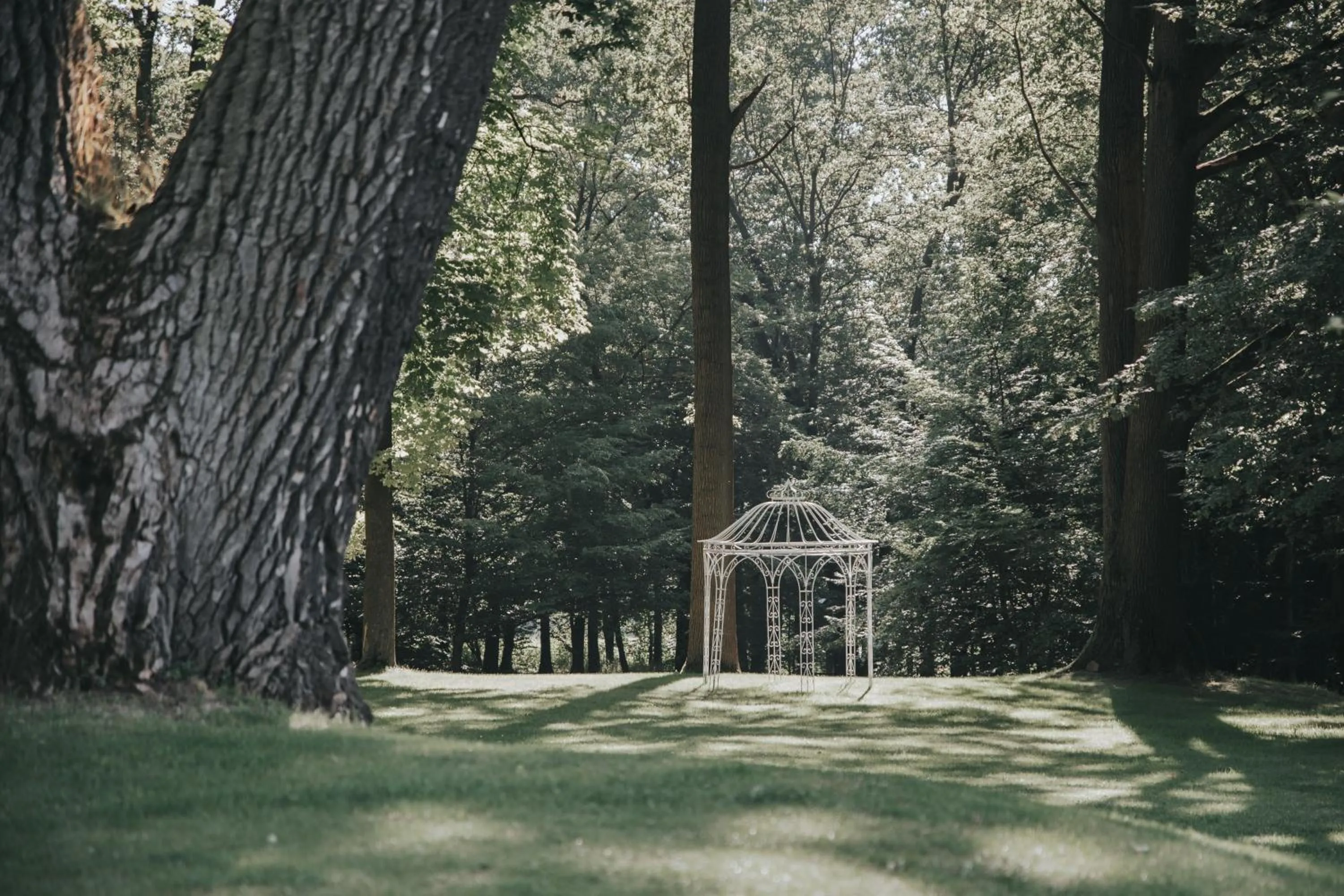 Garden in Dwór Sieraków