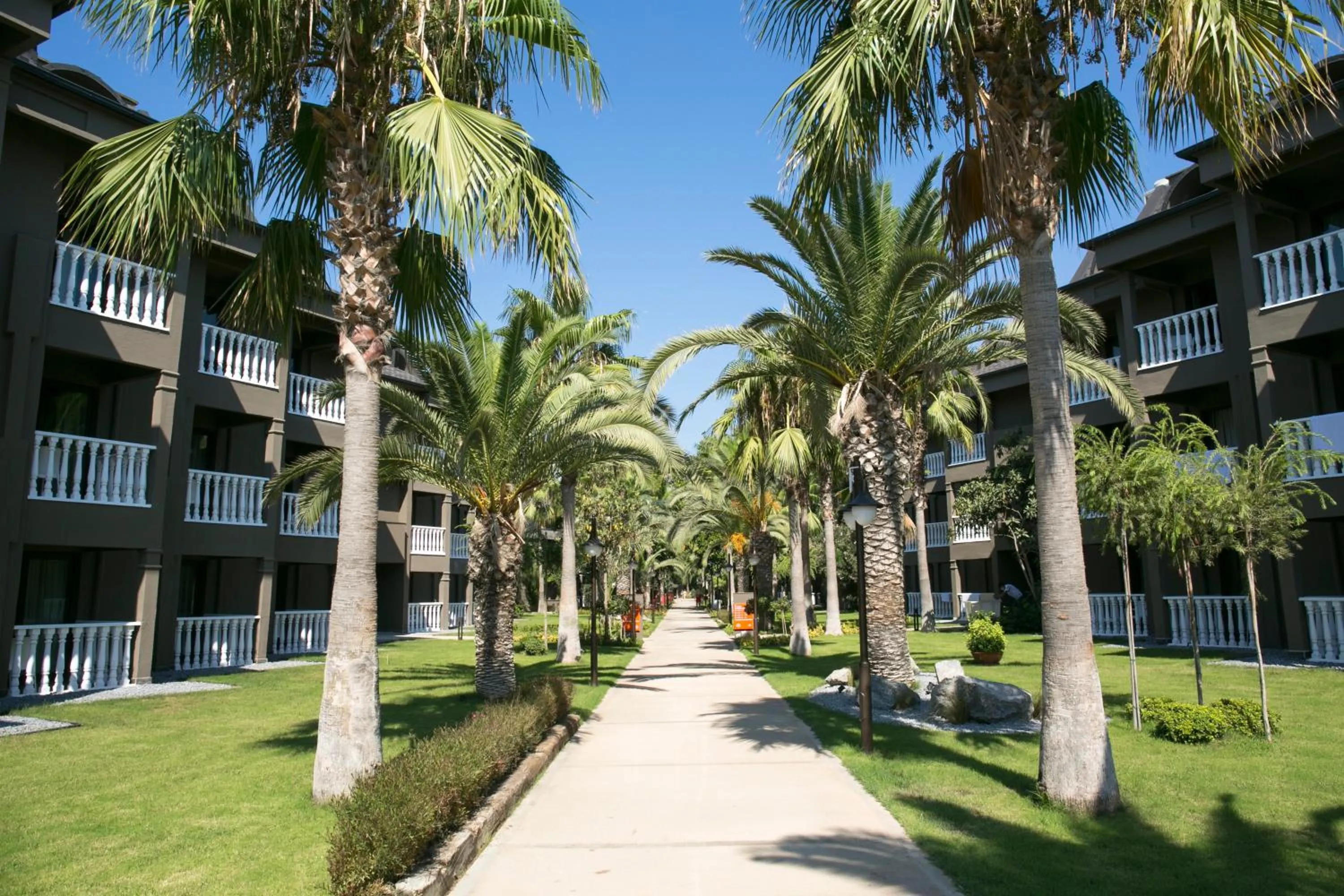 Garden in Sailor's Beach Club