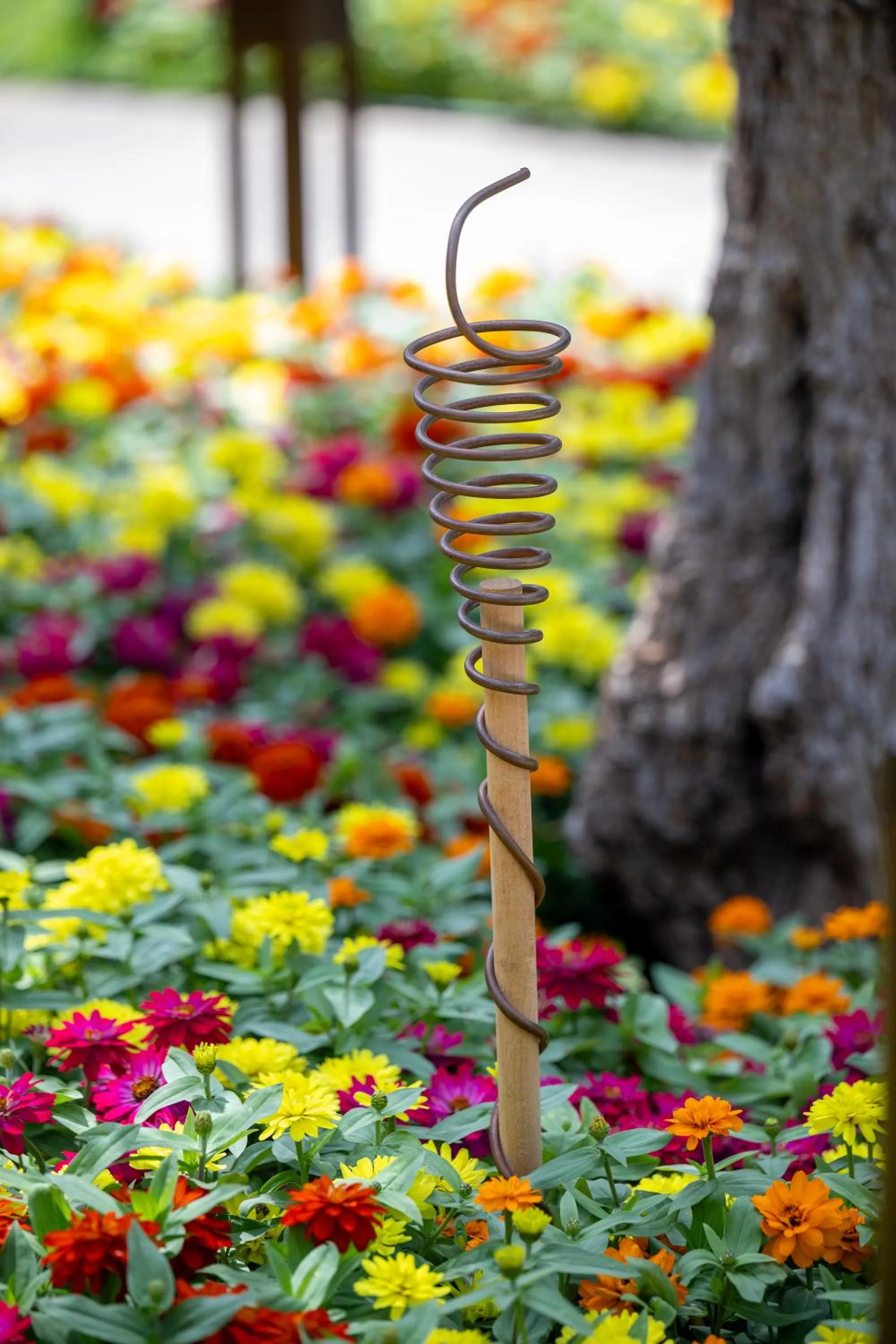 Garden in Sailor's Beach Club