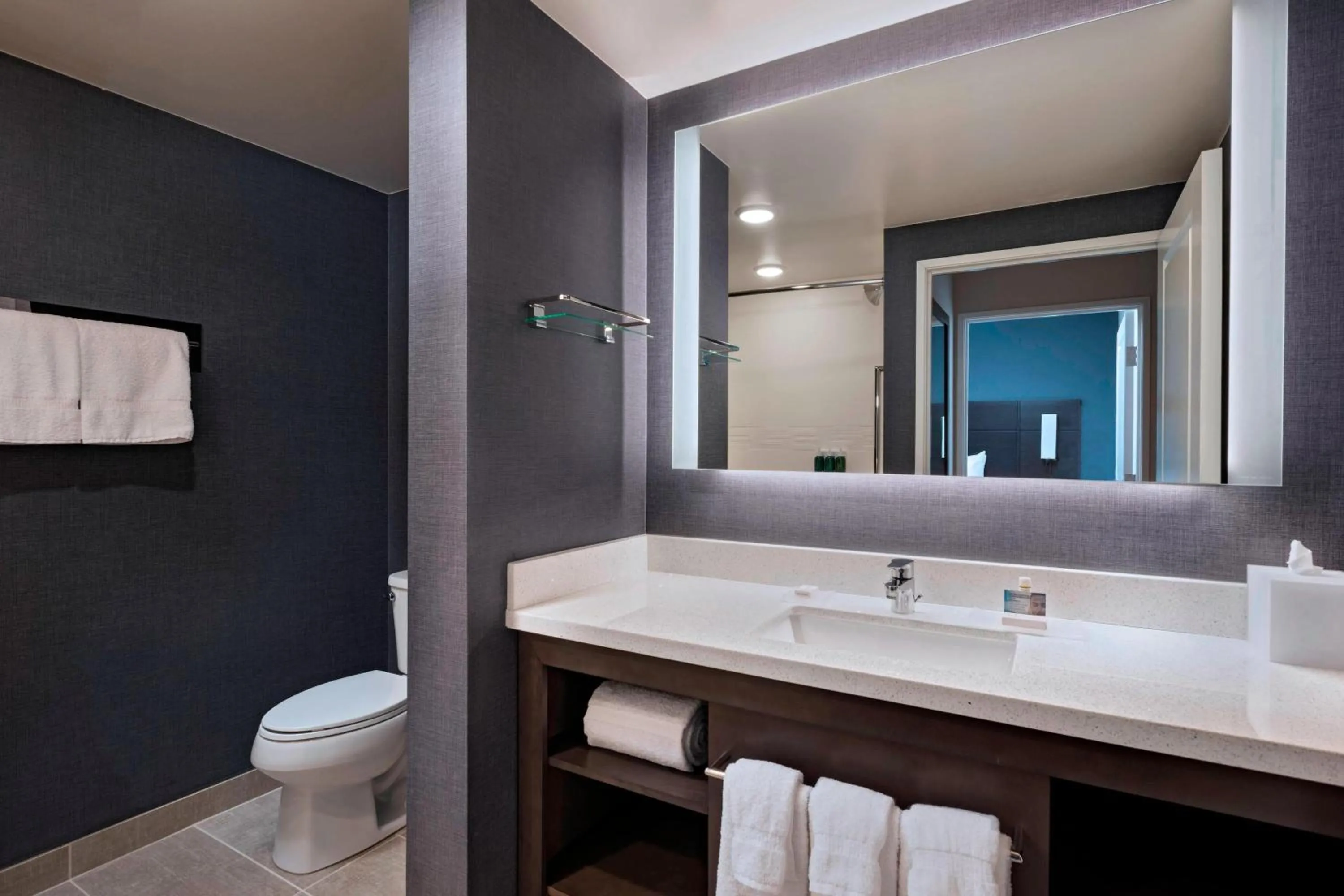 Bathroom in Residence Inn by Marriott St. Paul Downtown