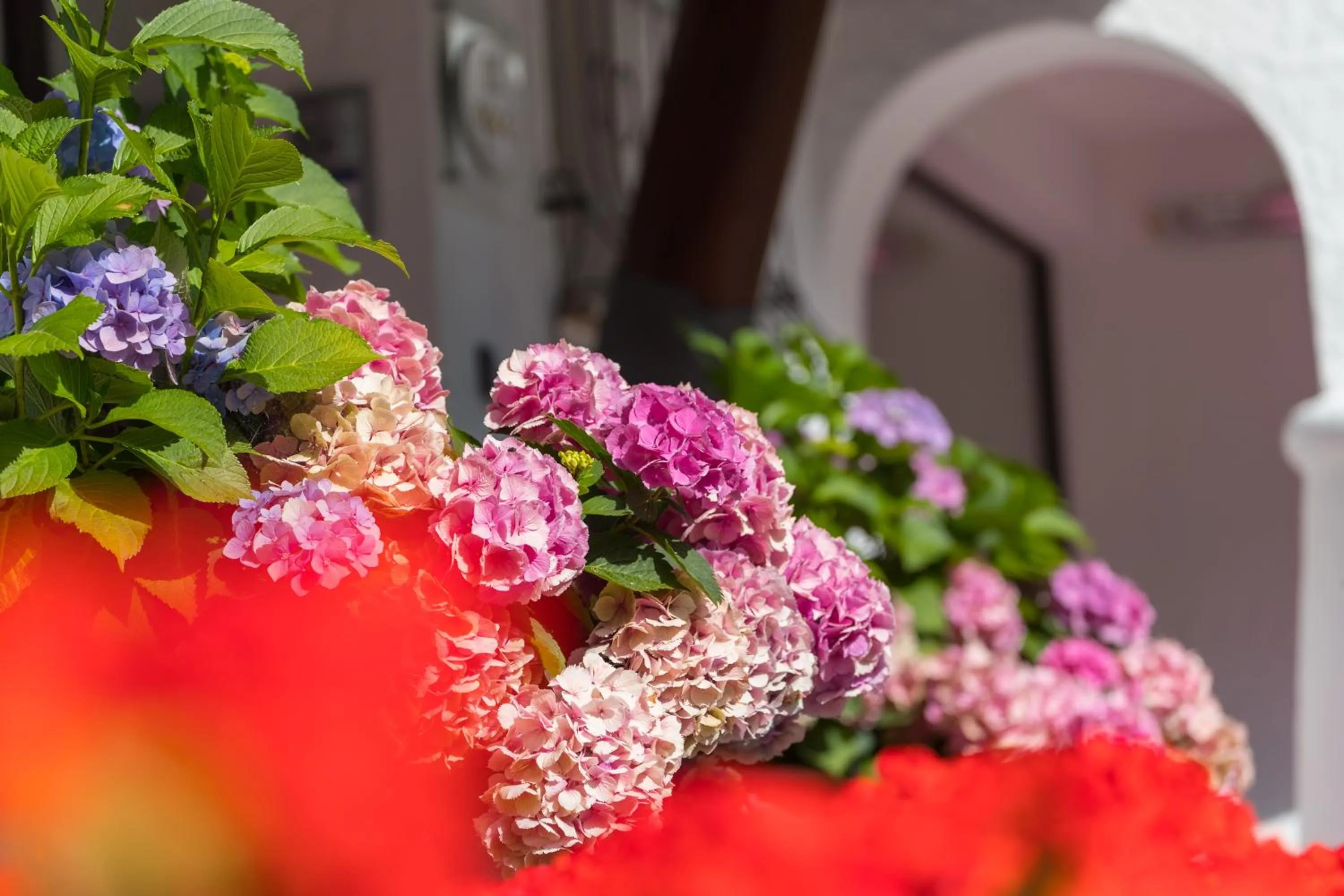 Property building in Hotel Genziana