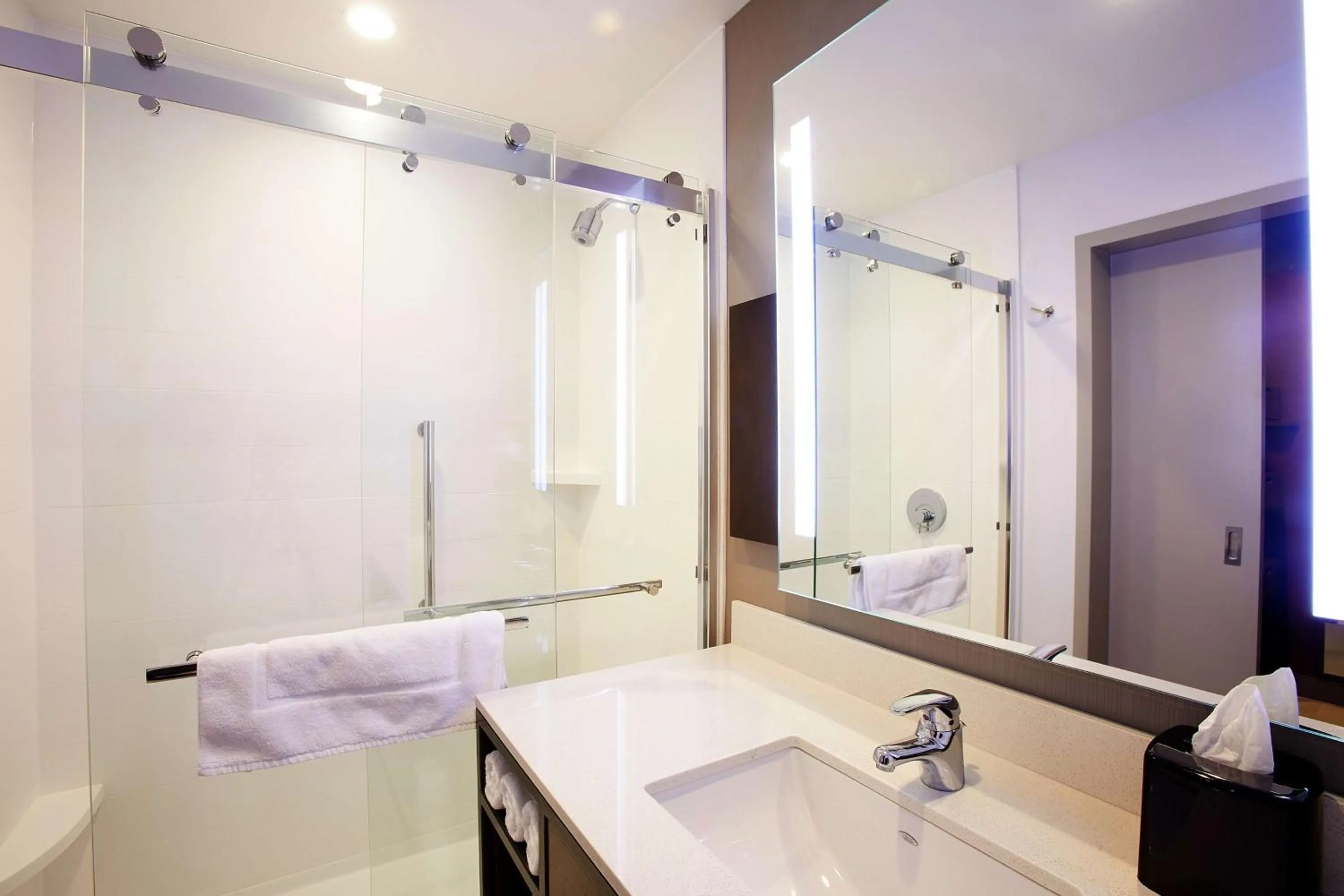 Bathroom in Hilton Garden Inn Elizabethtown