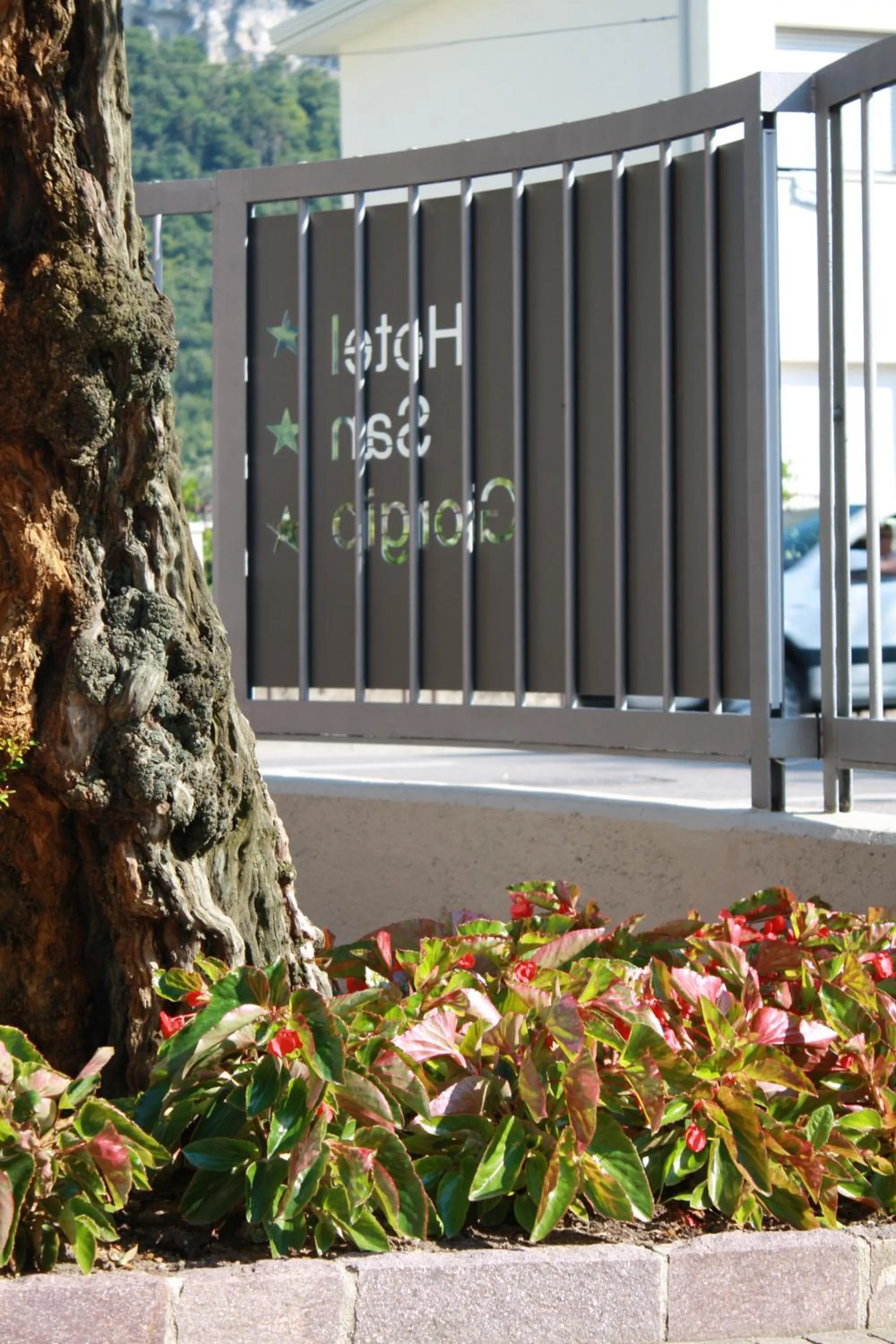 Garden in Hotel San Giorgio
