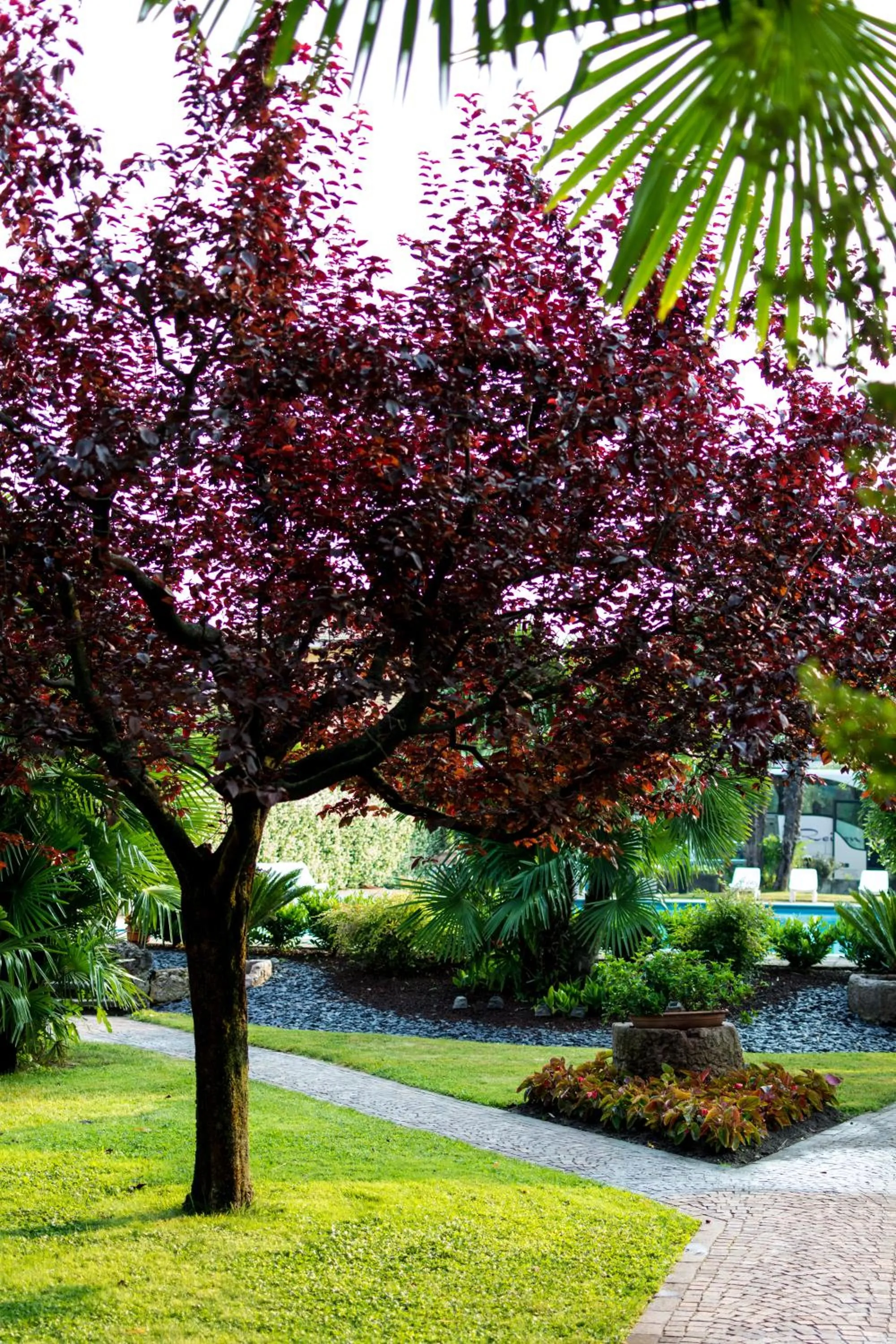 Garden in Hotel San Giorgio