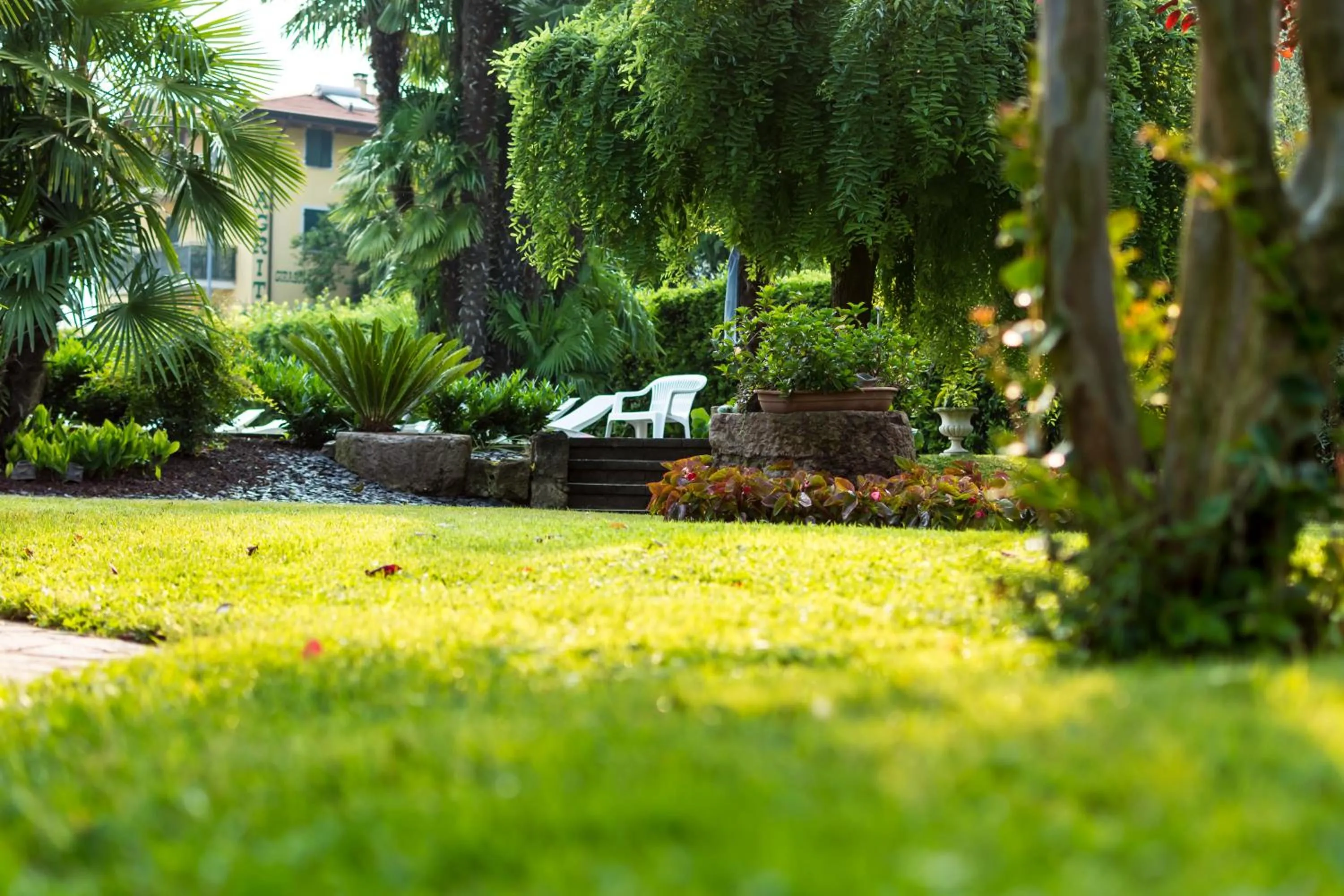 Garden in Hotel San Giorgio