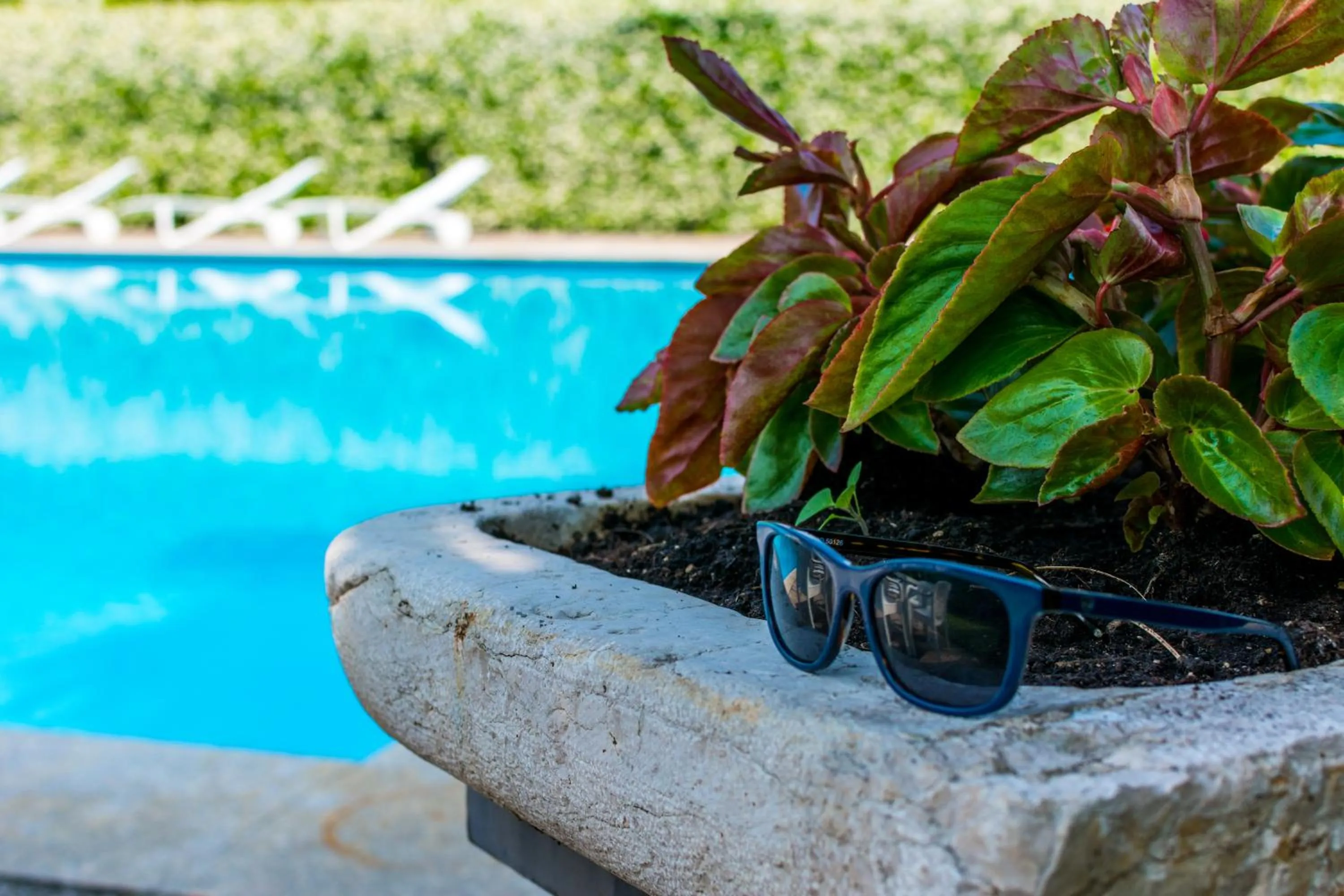 Garden in Hotel San Giorgio