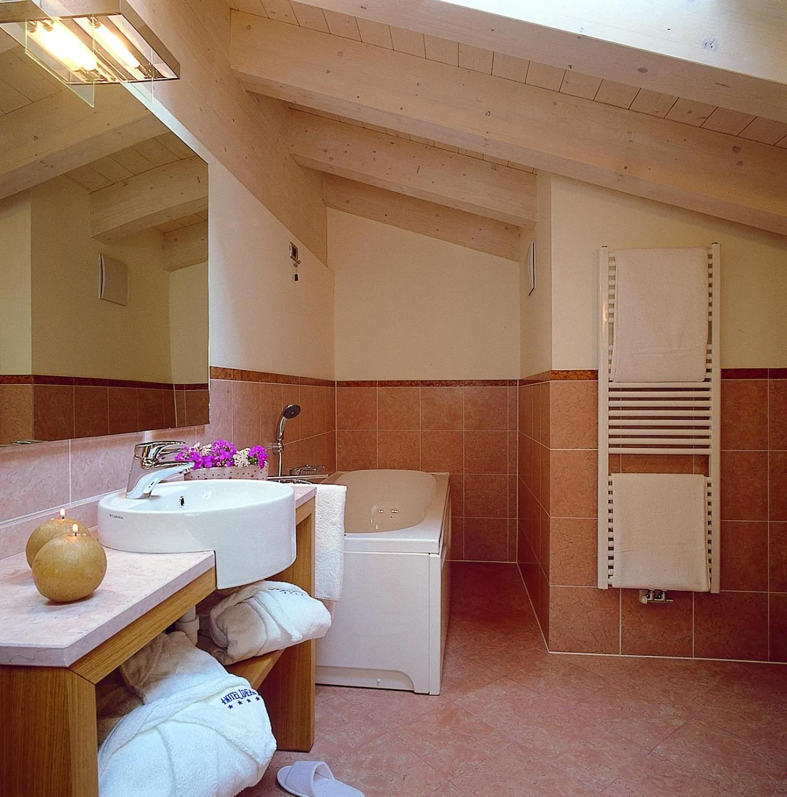 Bathroom in Hotel Ideal