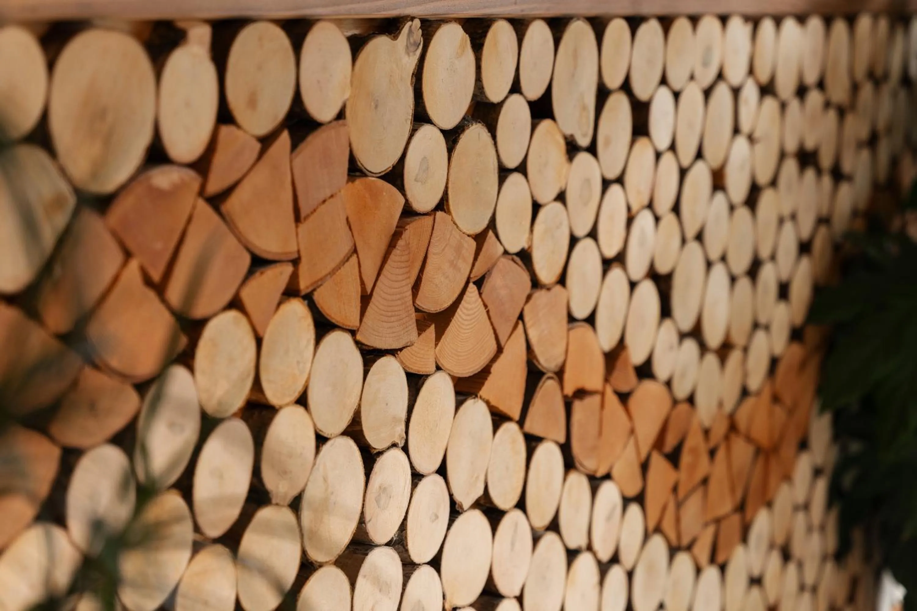 Lobby or reception in Hotel Villa Emma