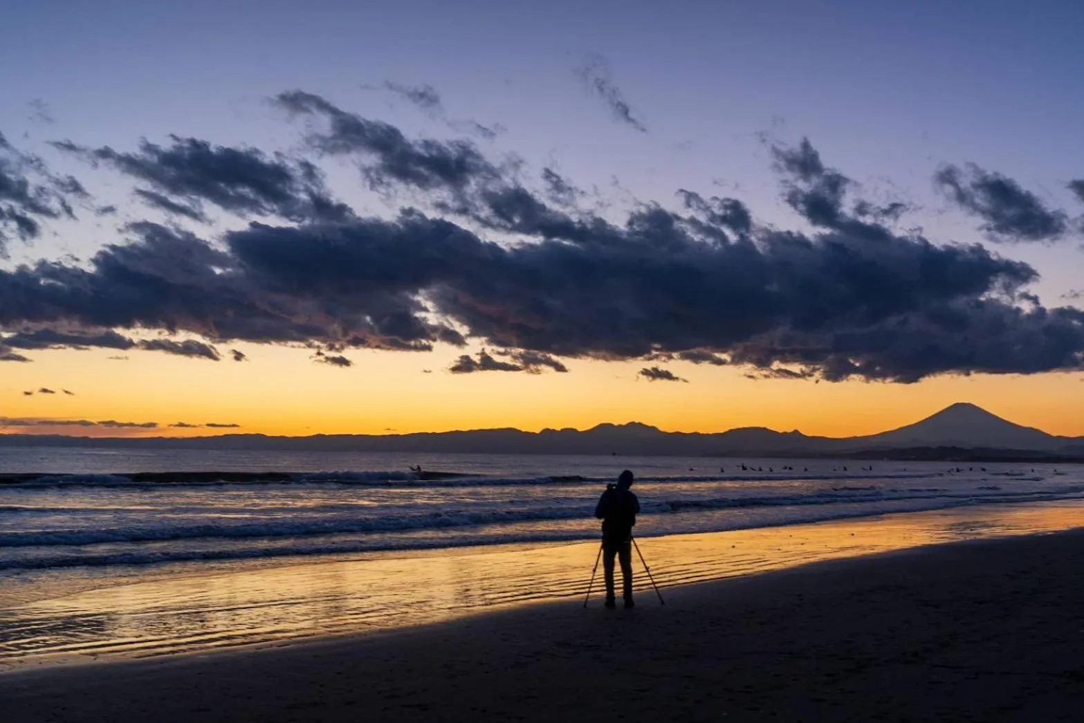 EMS Enoshima クラシックゲストハウス 寝室は個室 犬OK
