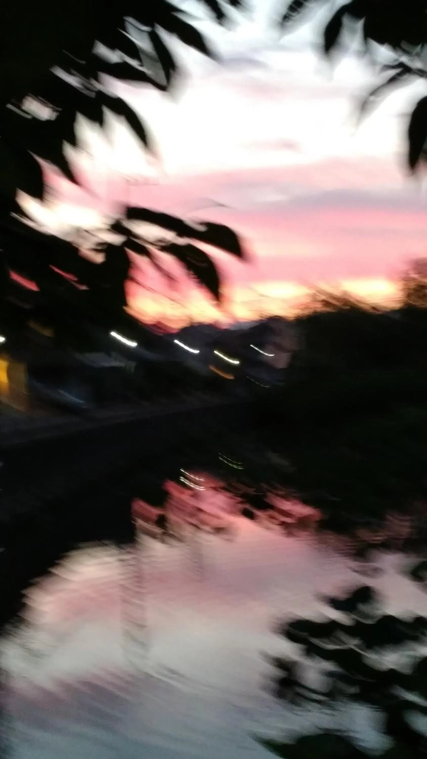 EMS Enoshima クラシックゲストハウス 寝室は個室 犬OK