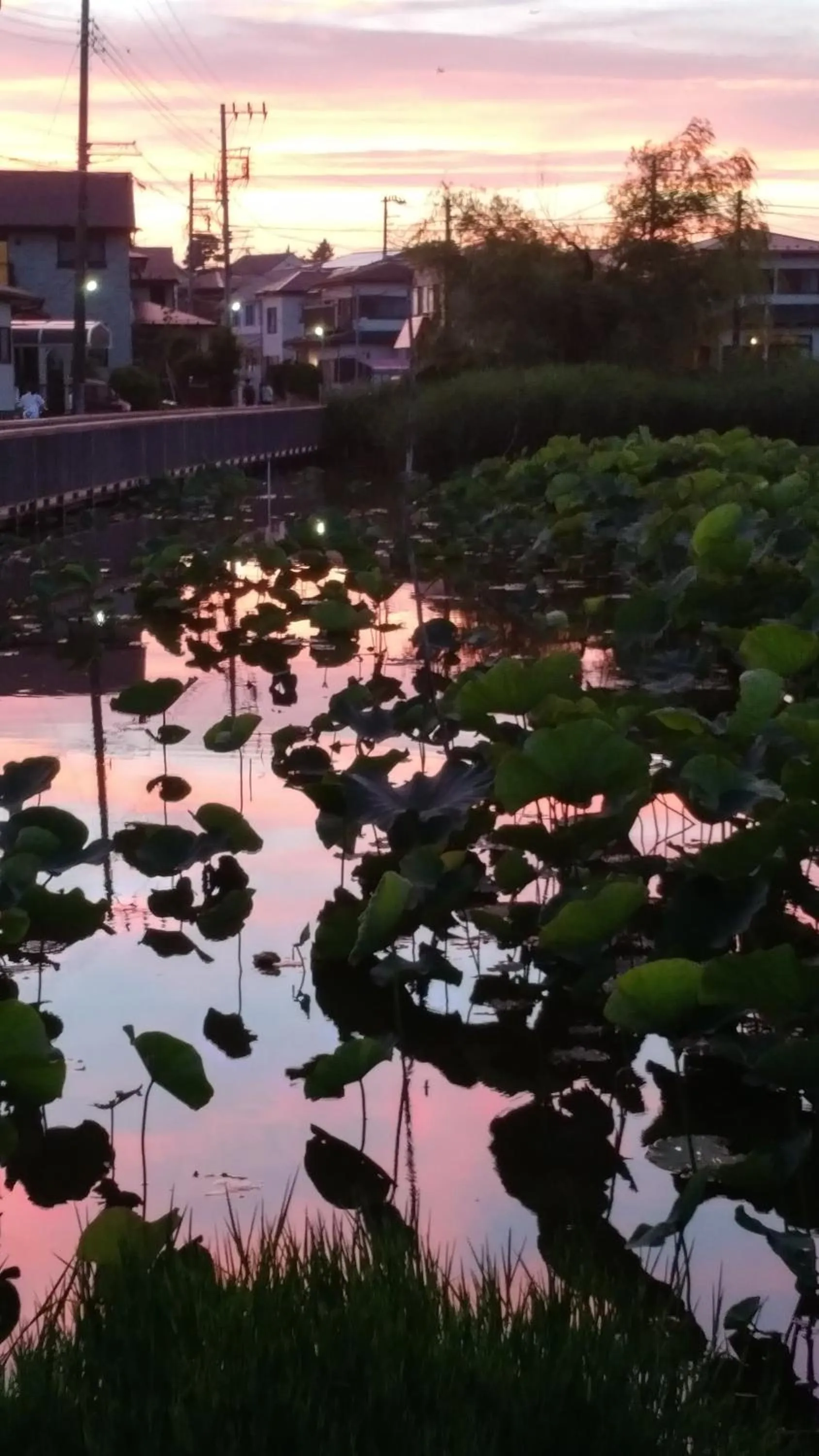 EMS Enoshima クラシックゲストハウス 寝室は個室 犬OK