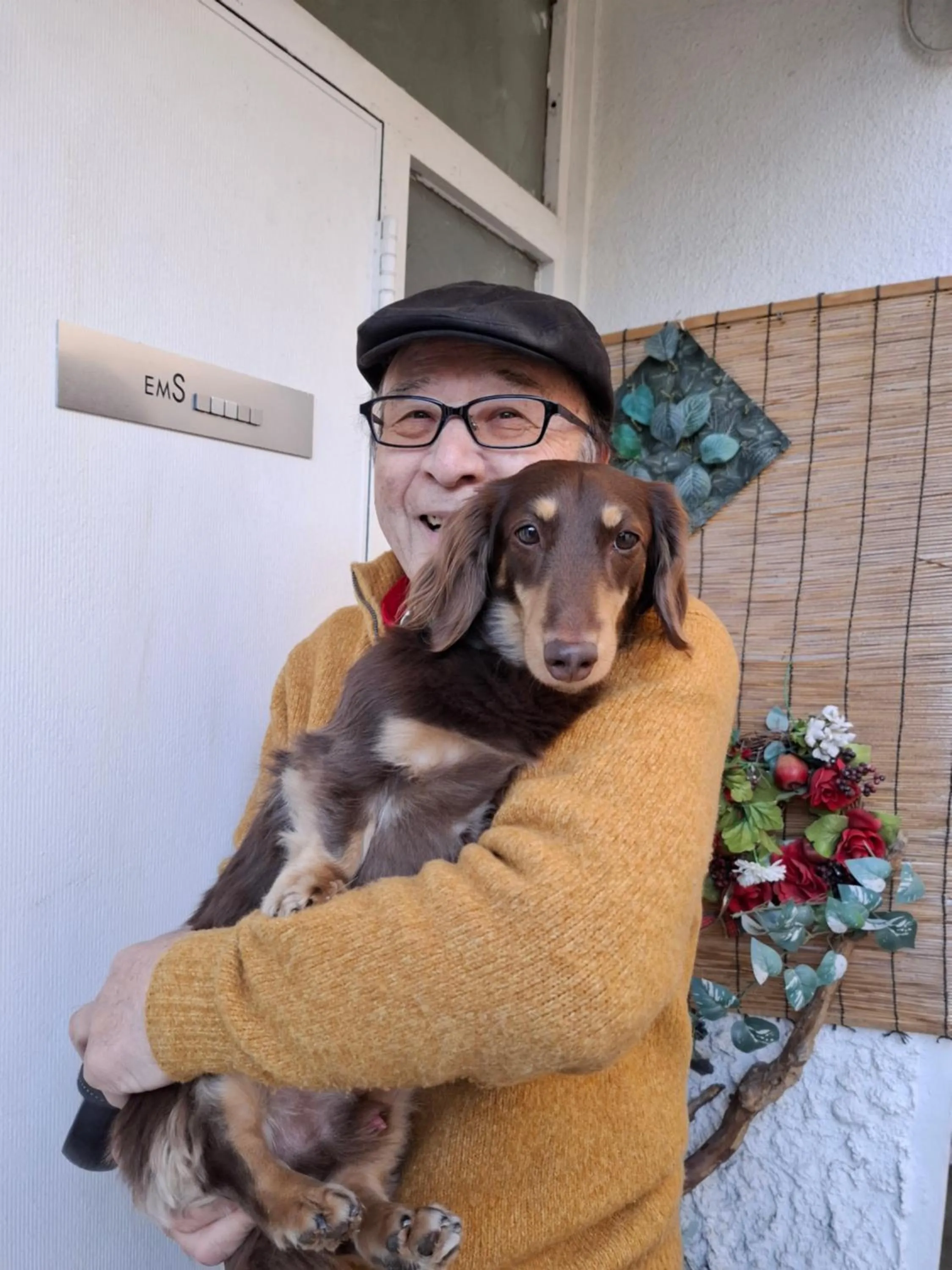 EMS Enoshima クラシックゲストハウス 寝室は個室 犬OK