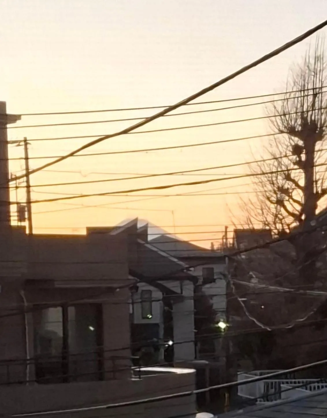 EMS Enoshima クラシックアットホームハウス 寝室は個室 犬もOK