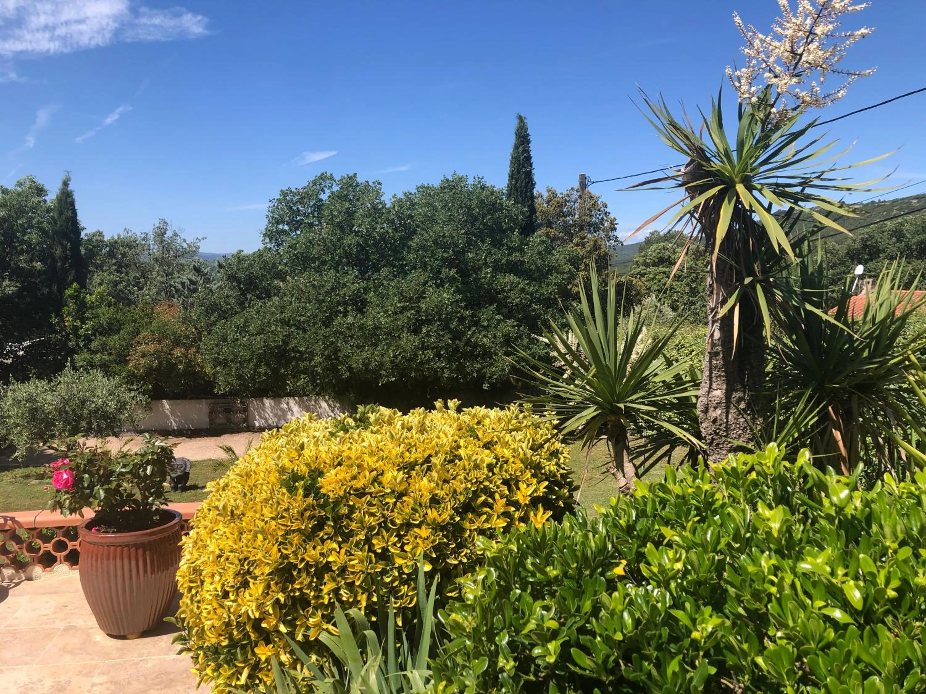 Garden view in Villa QUINISSOLE
