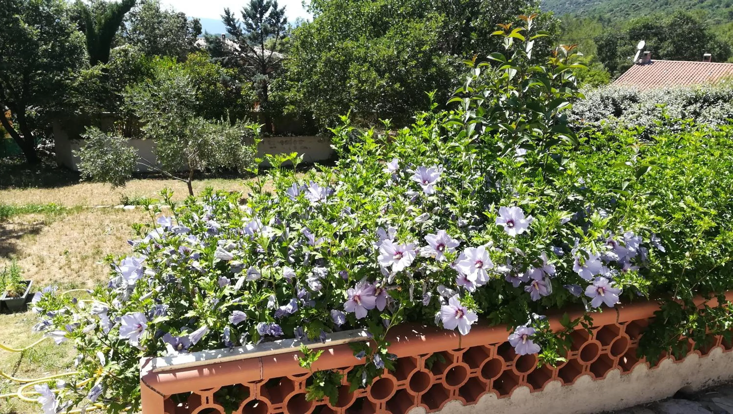 Garden in Villa QUINISSOLE