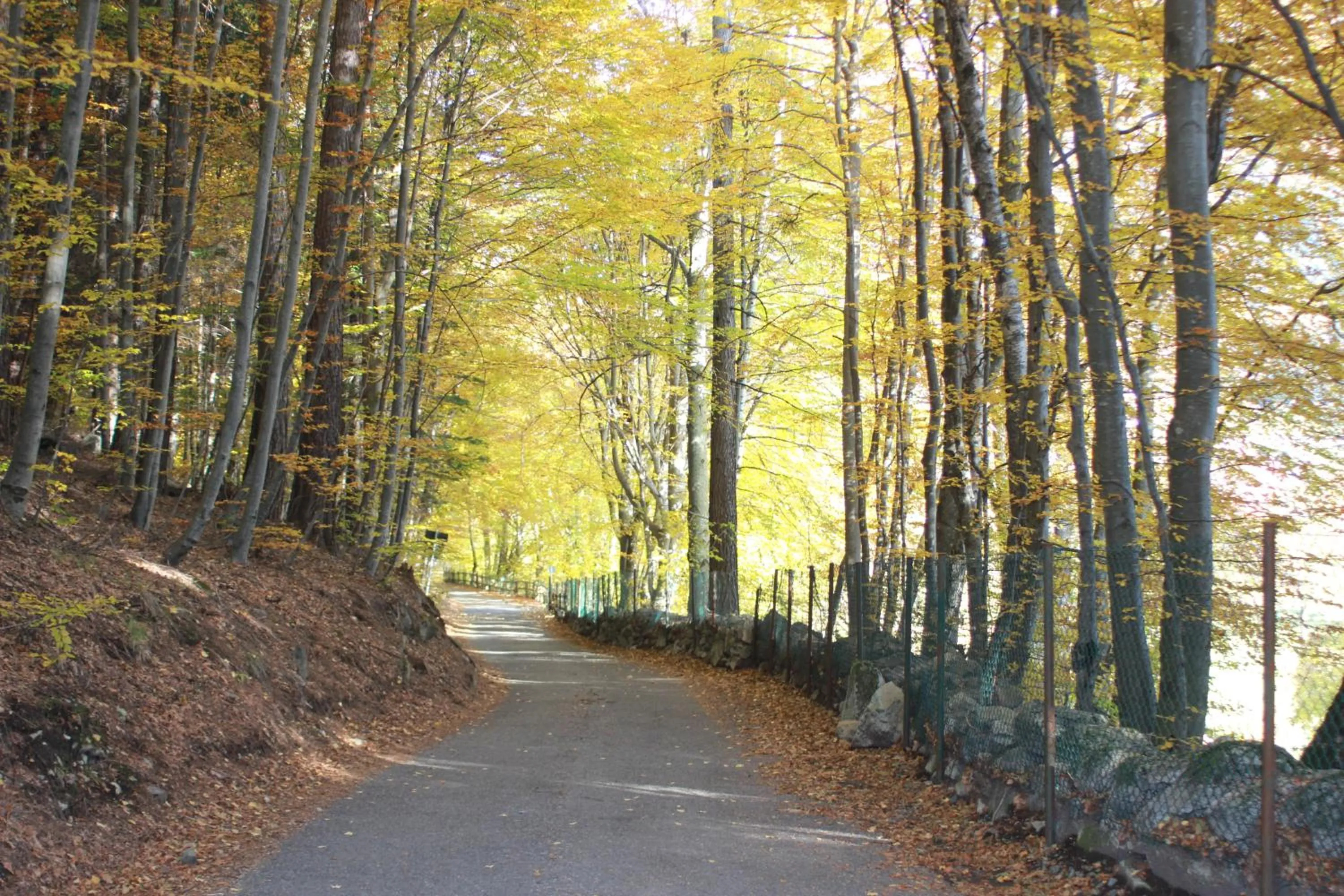Natural landscape in Albergo alla Posta