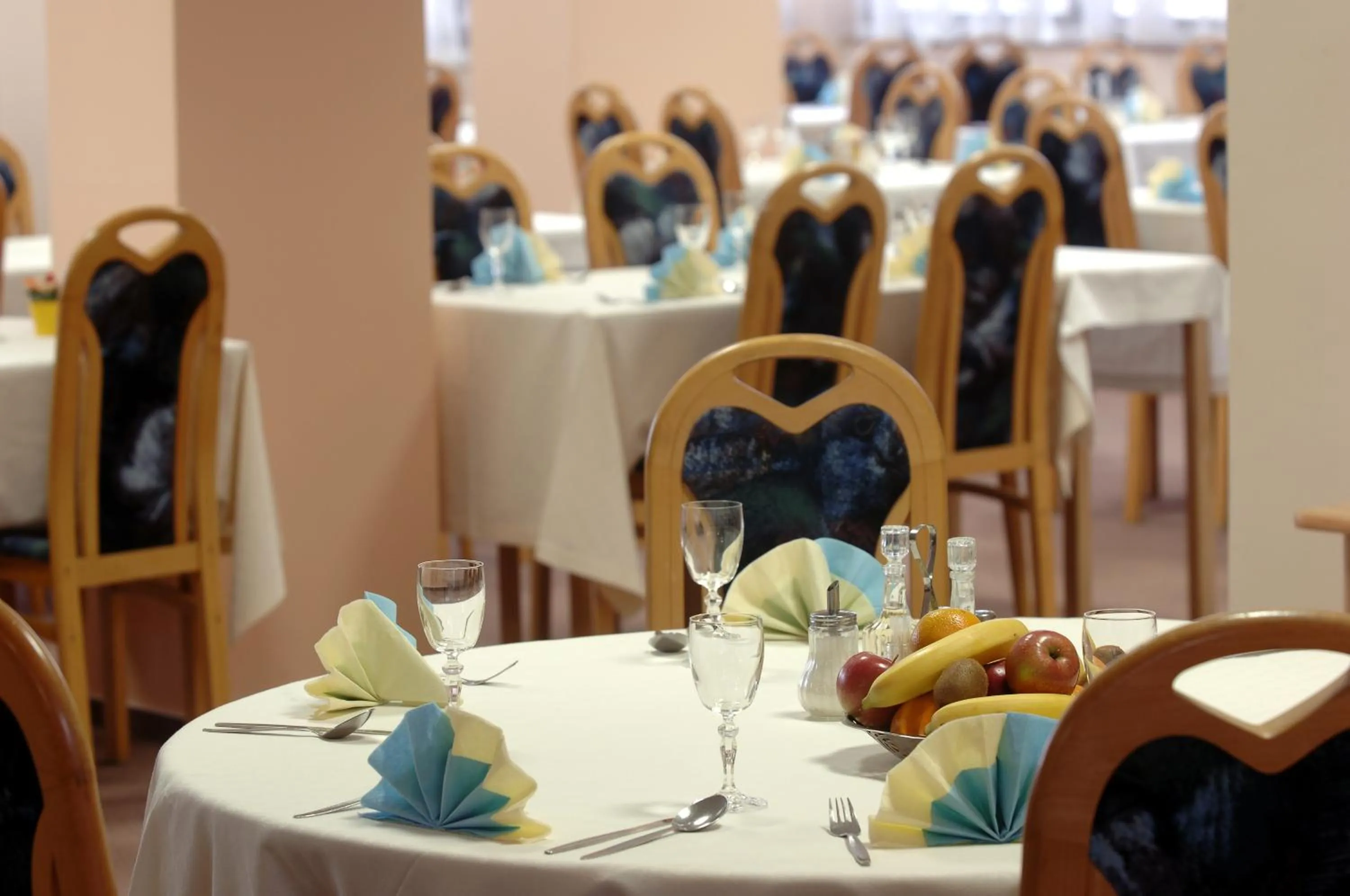 Restaurant/places to eat in Ensana Spa Smrdáky