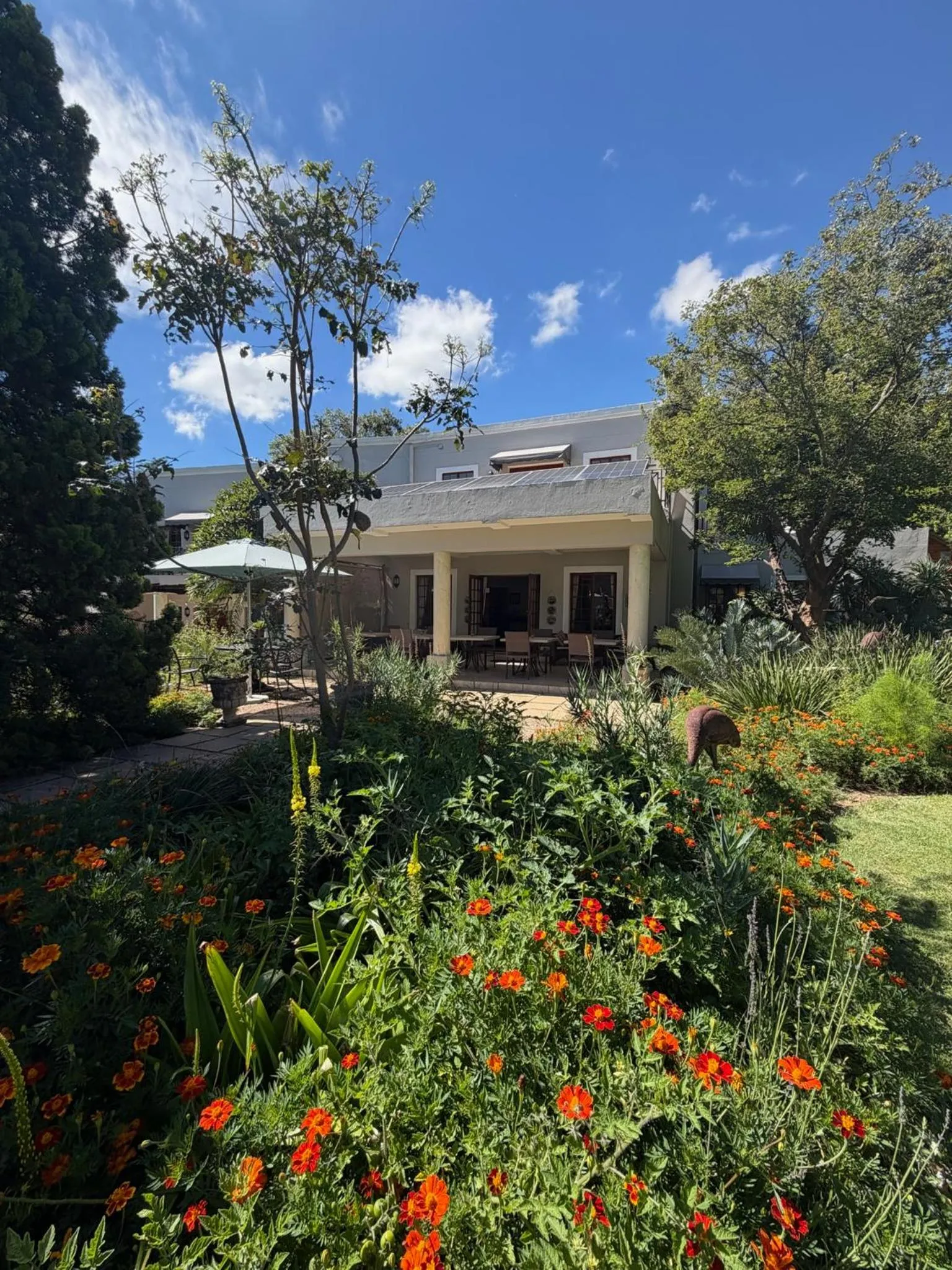 Patio in Highgrove Guesthouse Morningside Sandton