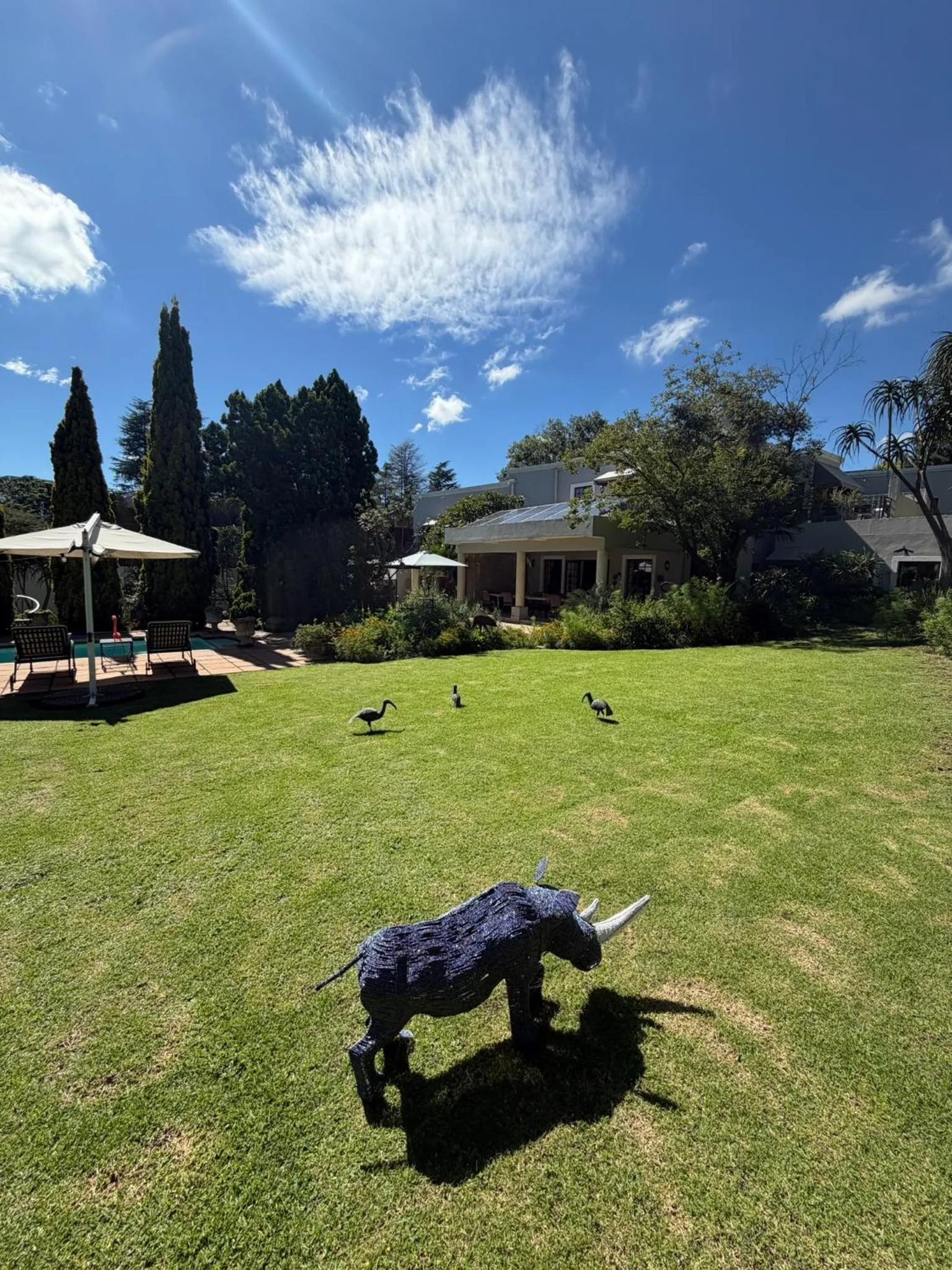 Summer in Highgrove Guesthouse Morningside Sandton