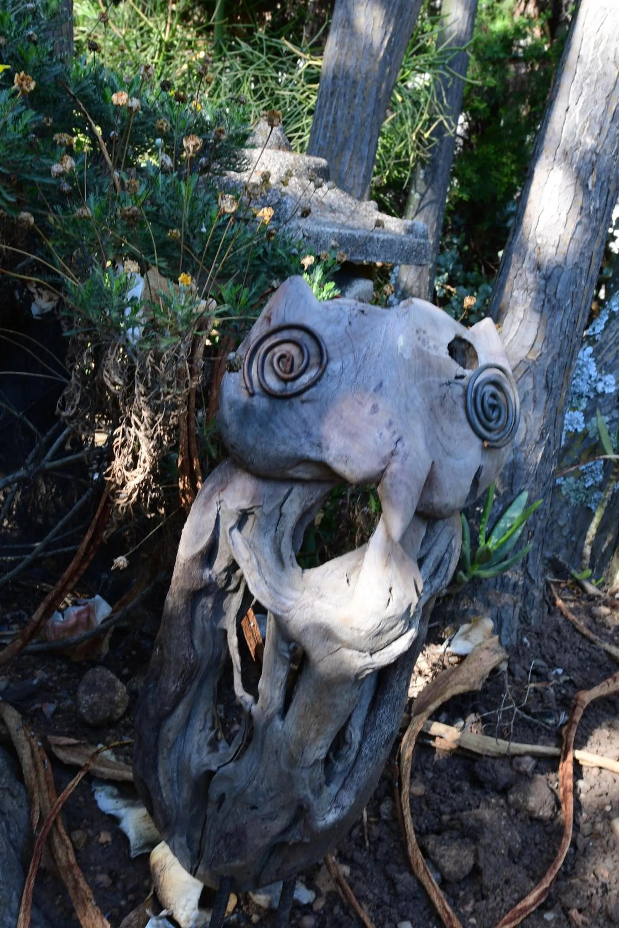 Garden in Highgrove Guesthouse Morningside Sandton