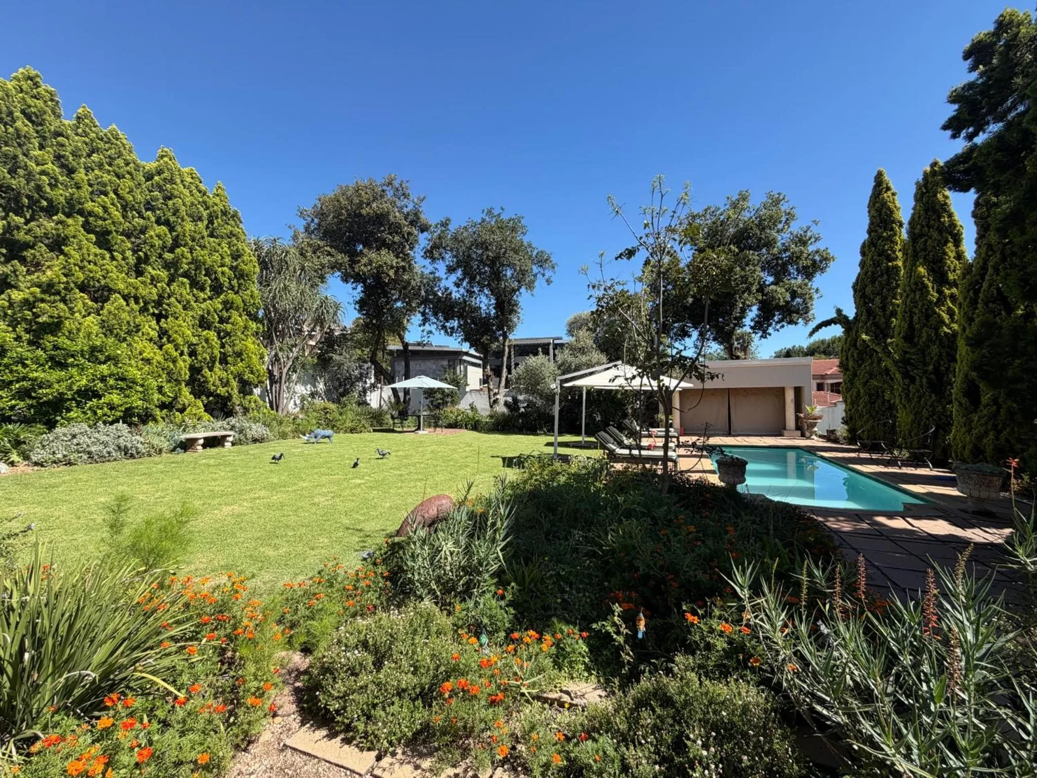 Garden in Highgrove Guesthouse Morningside Sandton