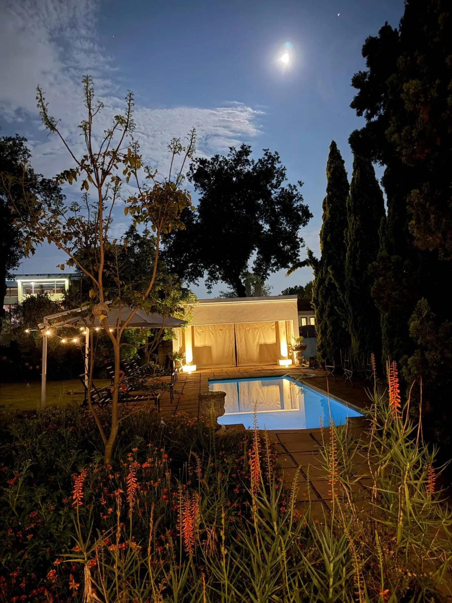 Summer in Highgrove Guesthouse Morningside Sandton