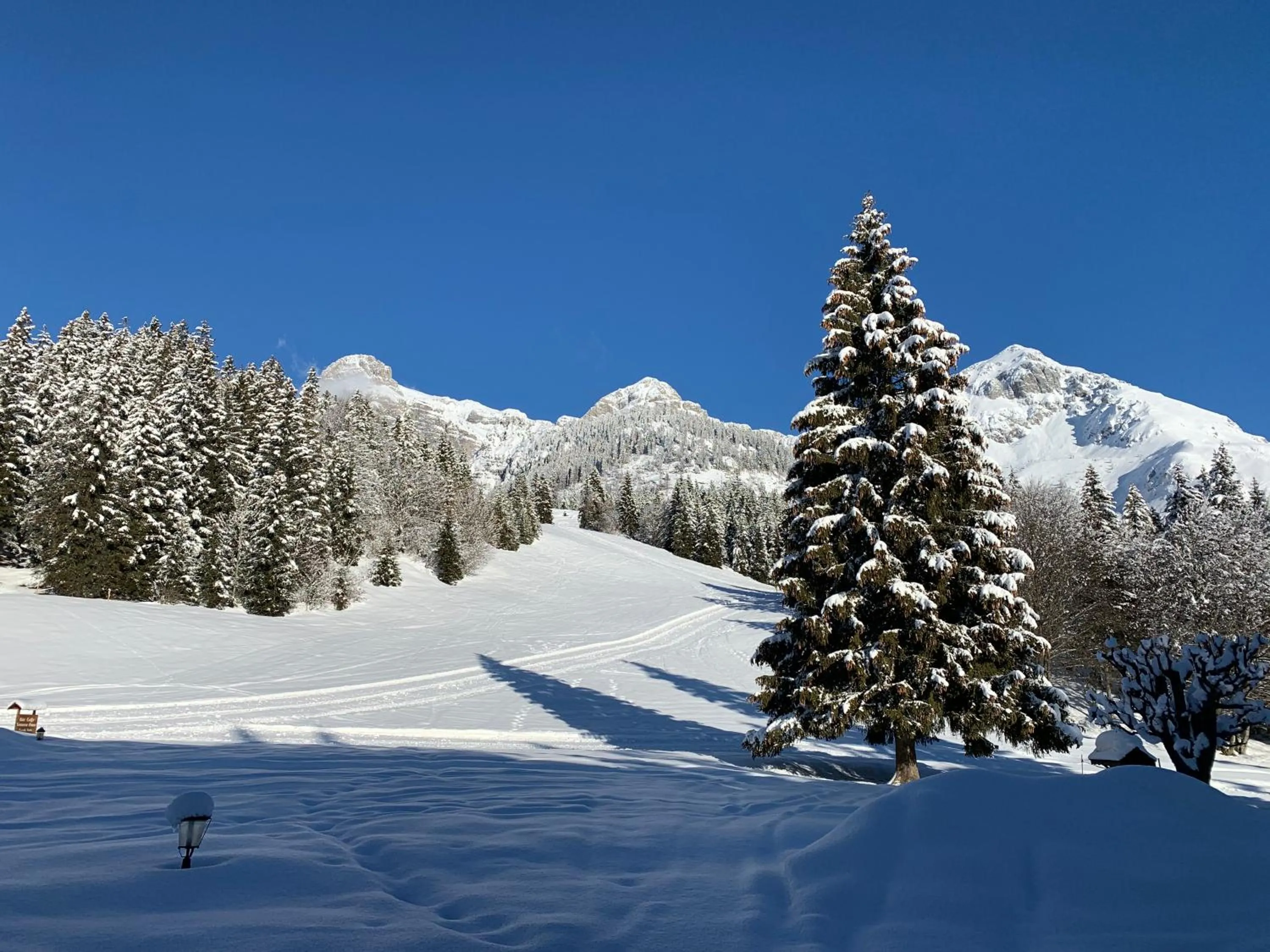 Mountain view in Hotel Piccola Baita
