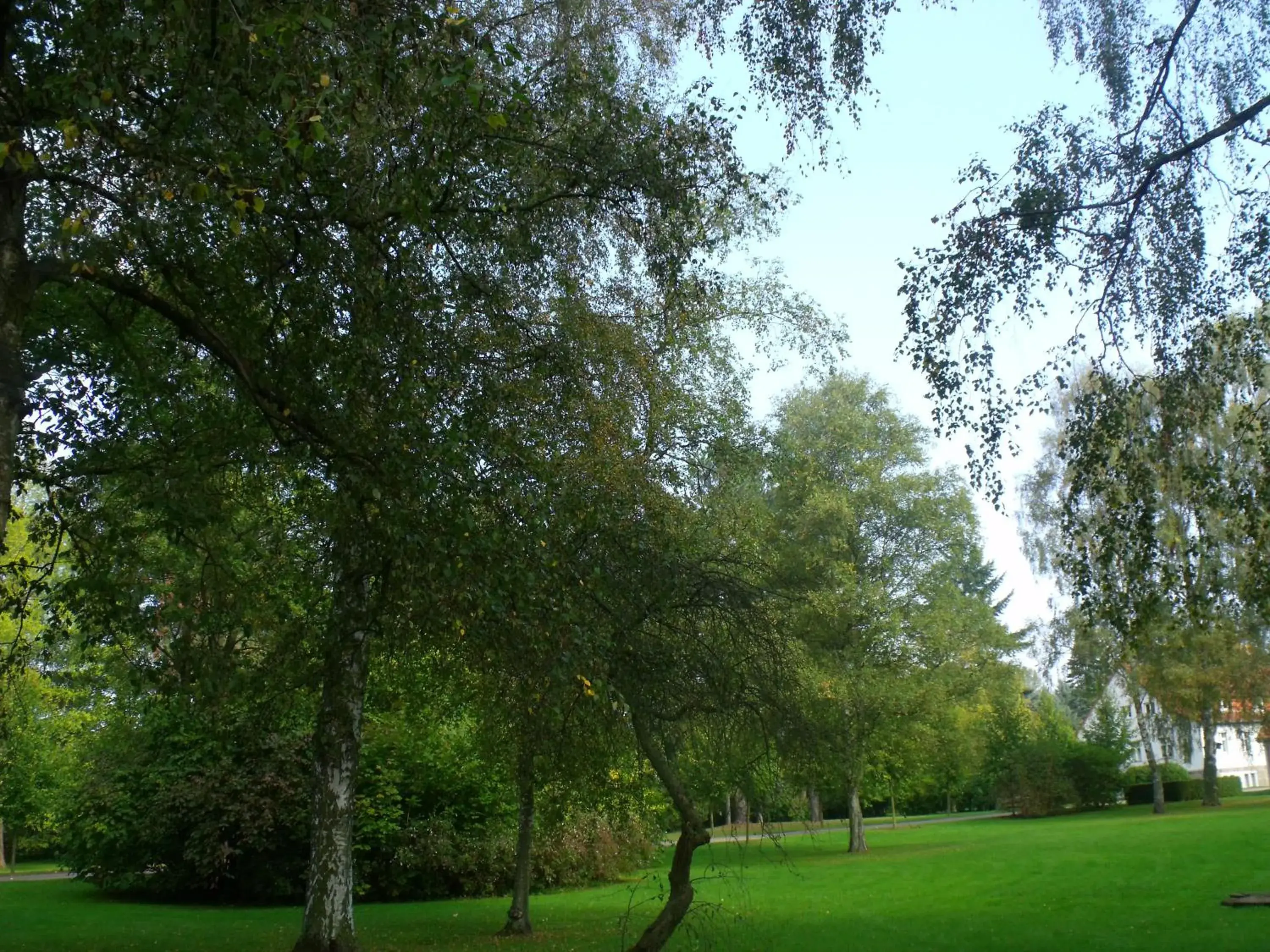 Single Room - single occupancy in Hotel Ostseeländer Single Room - single occupancy in Hotel Ostseeländer