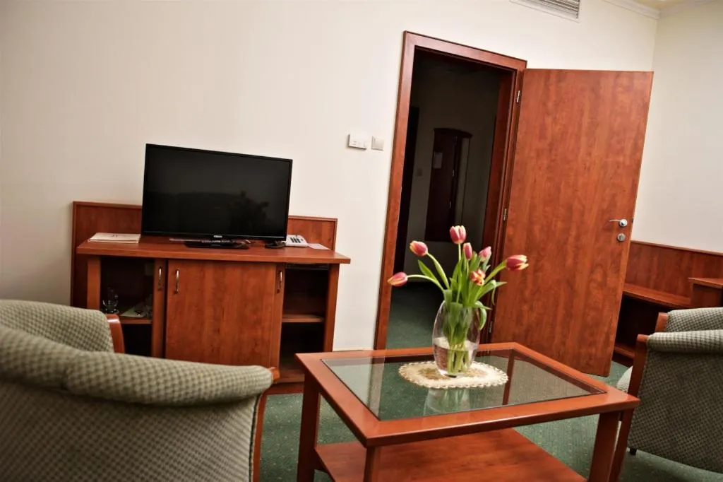 Living room in Hotel Lukács Superior