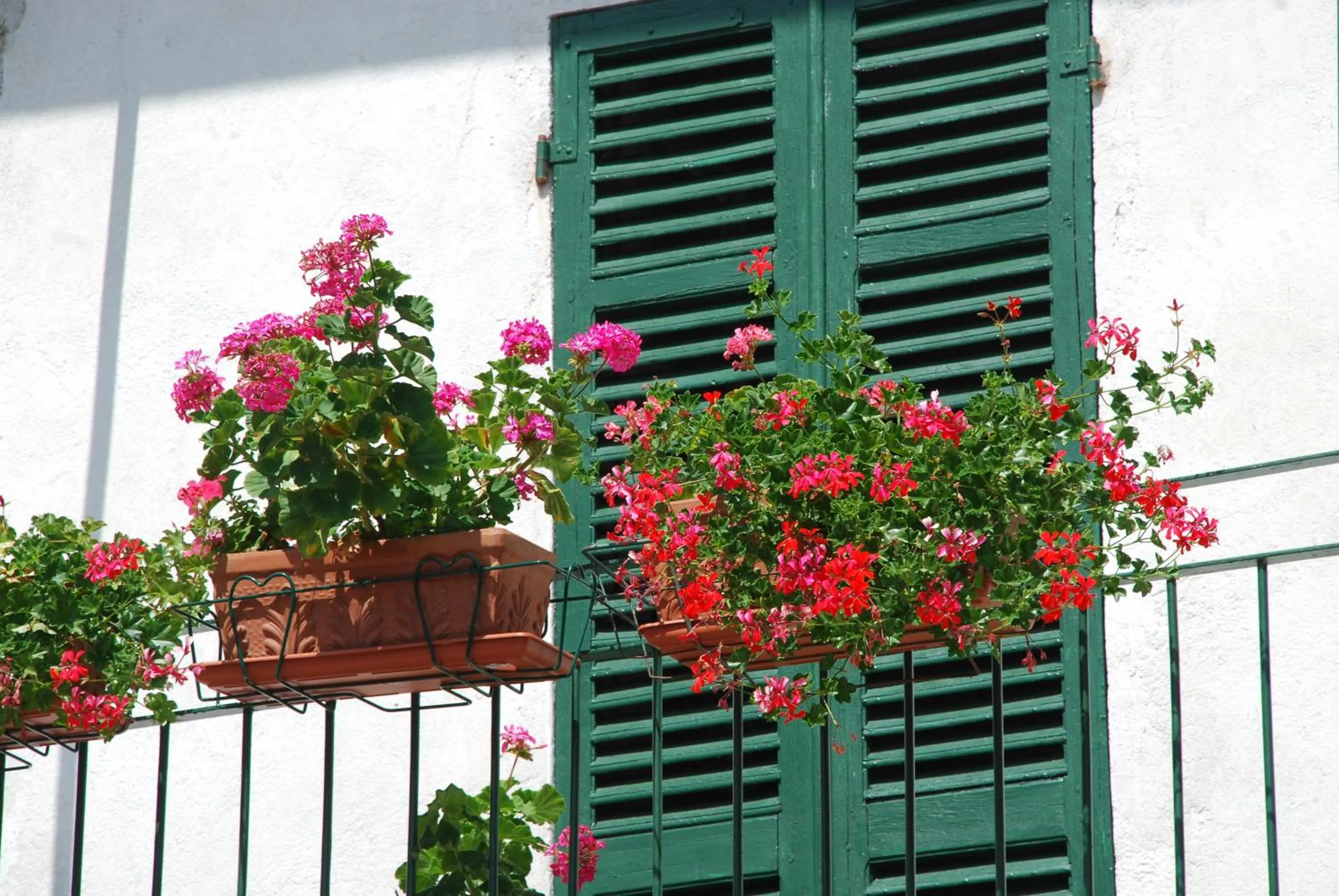 Property building in la casa in collina