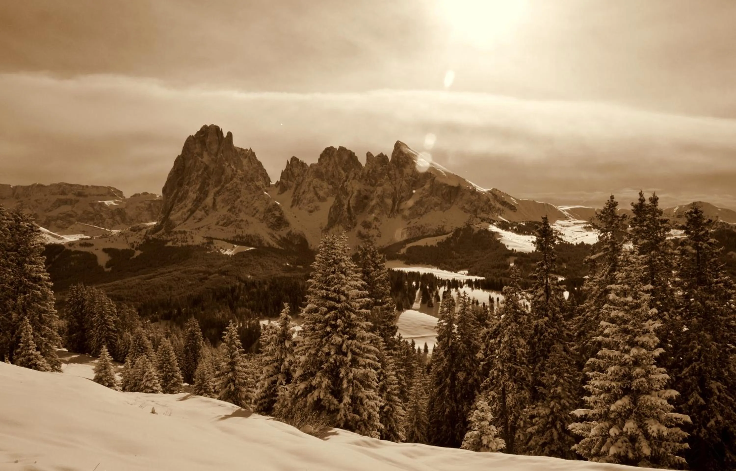 Winter in Residence Larciunei