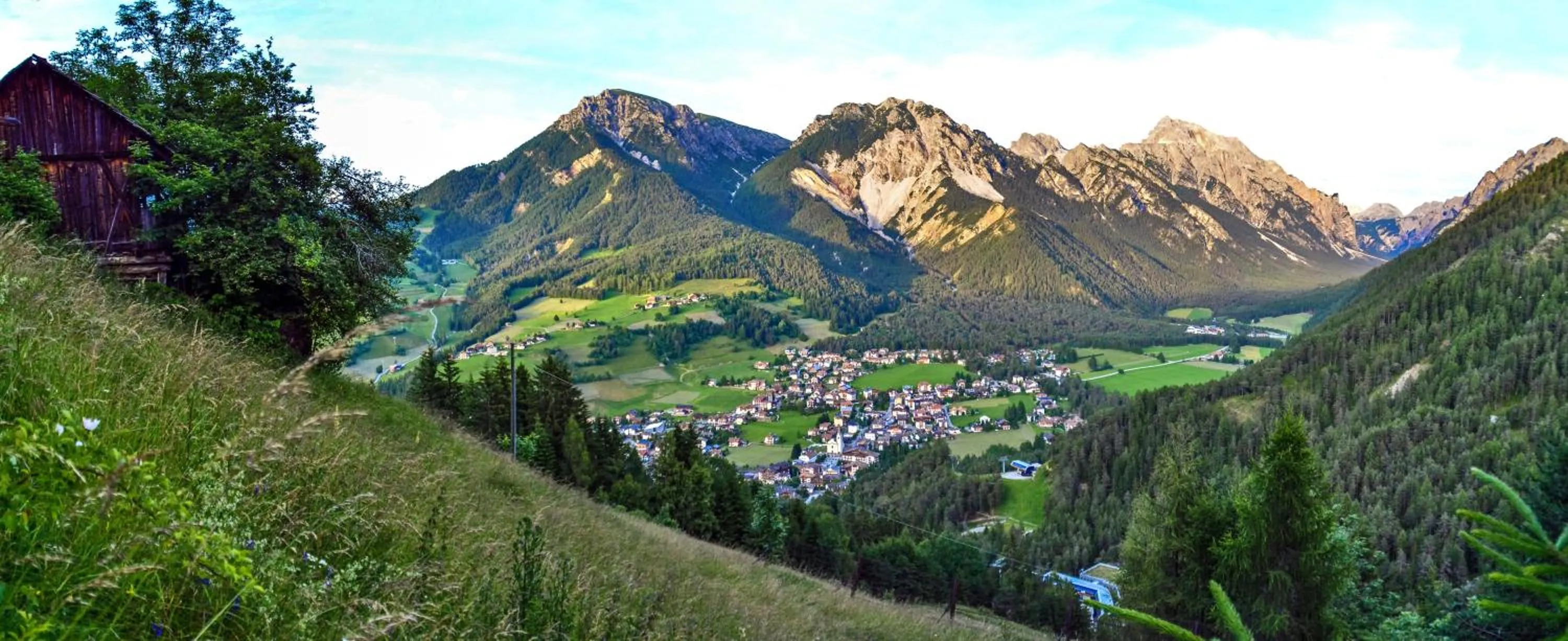 Natural landscape in Hotel Erika