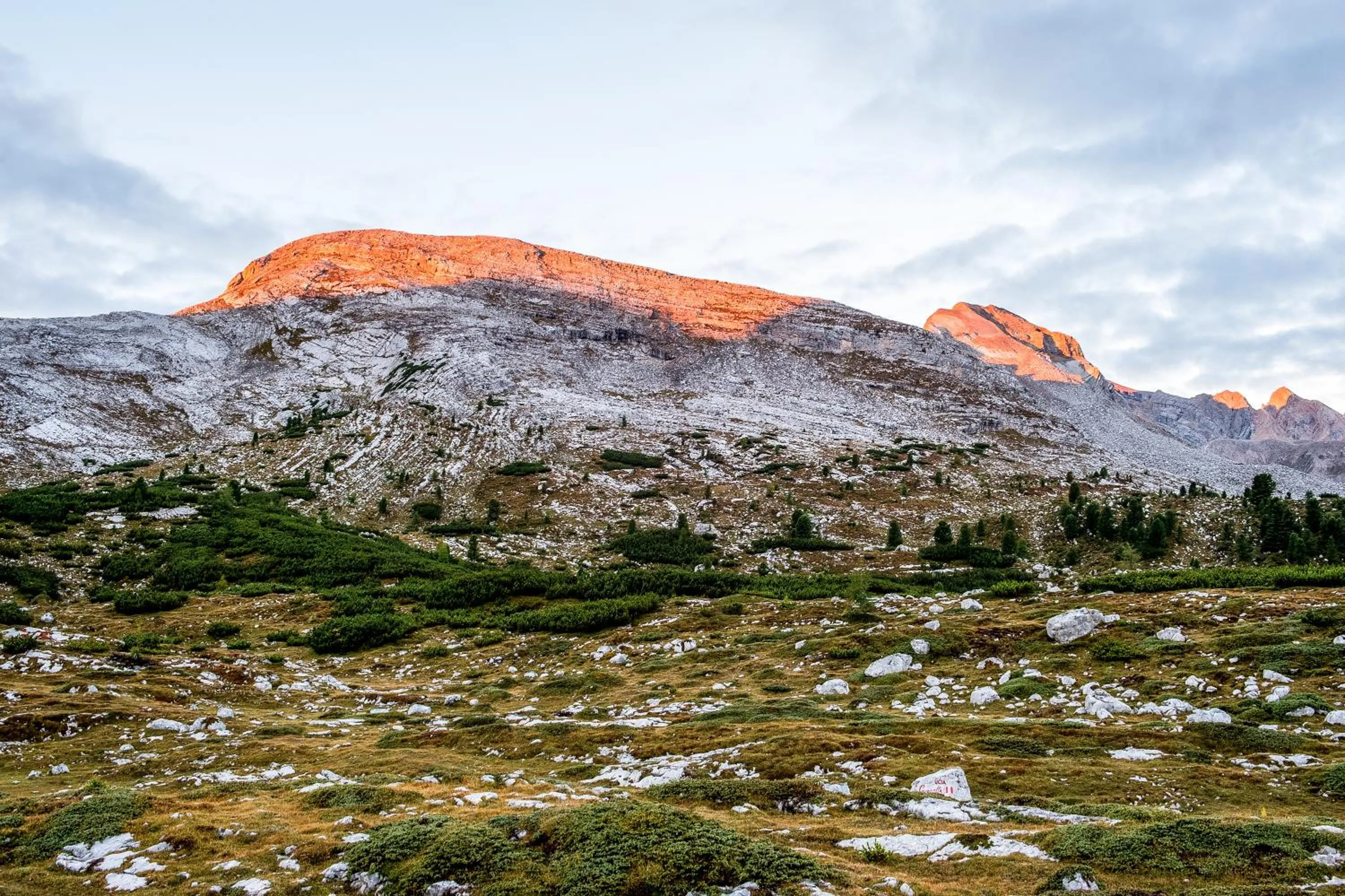 Natural landscape in Hotel Erika