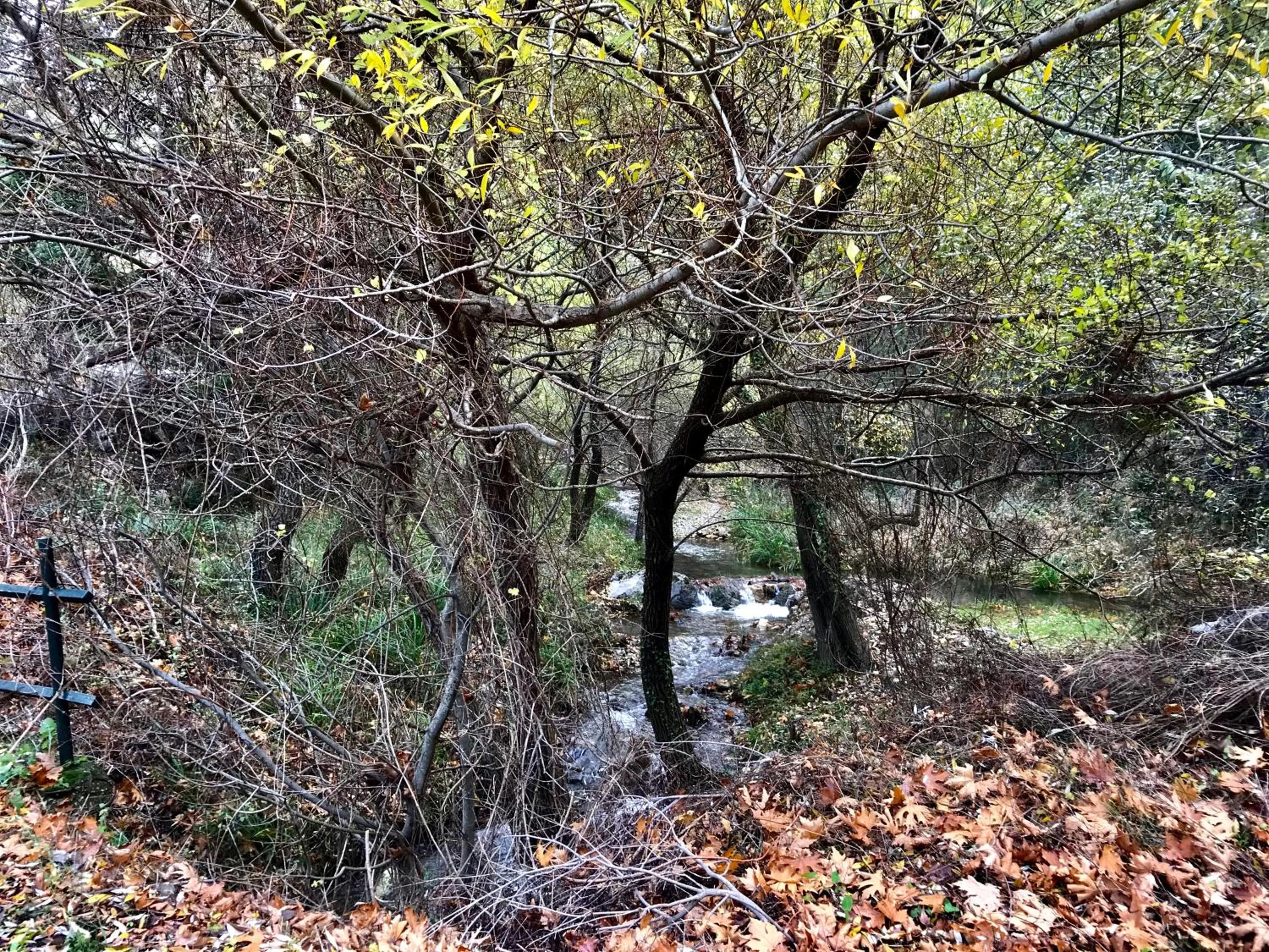 Nearby landmark in Pritanio