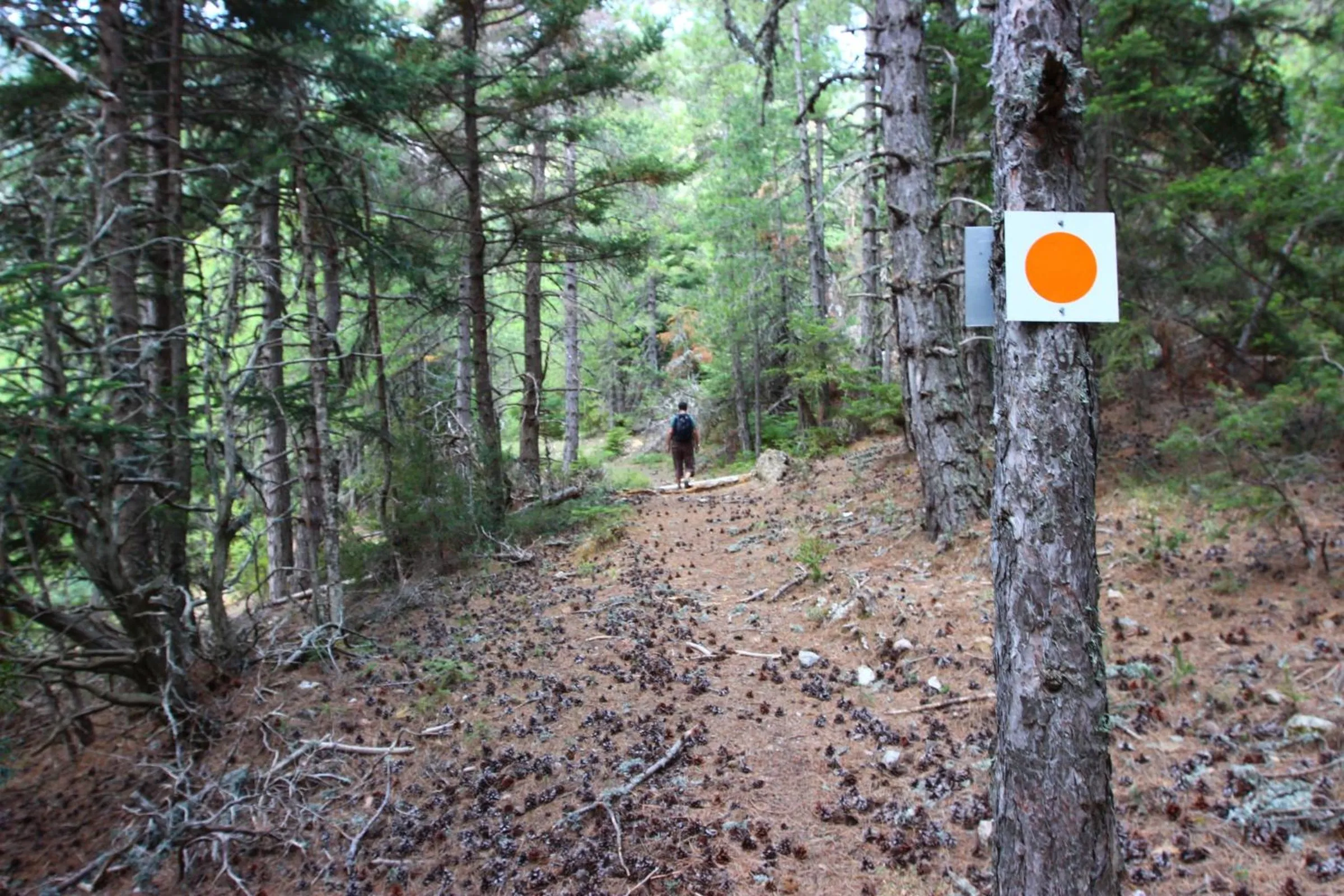 Natural landscape in Pritanio