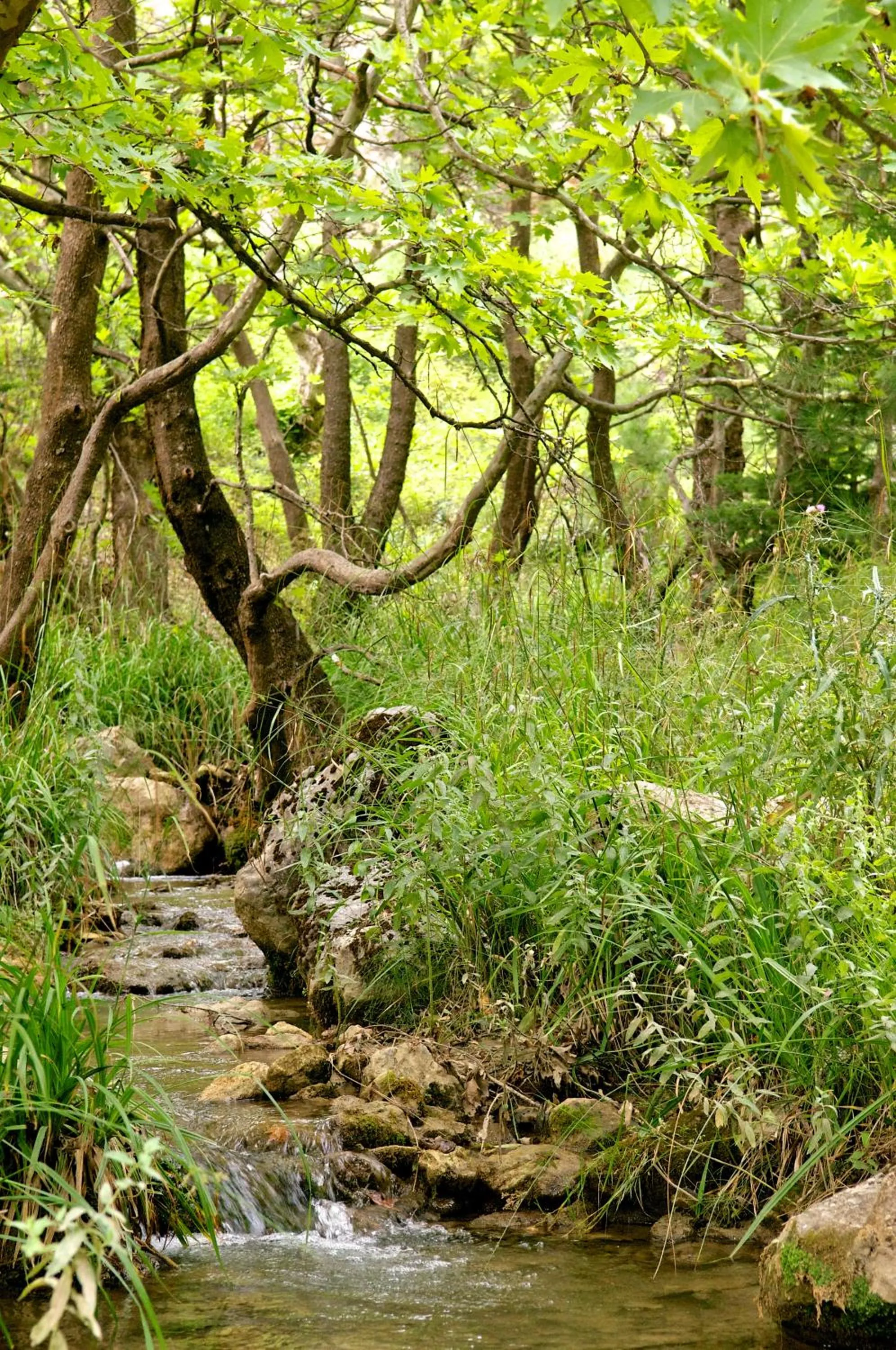 Nearby landmark in Pritanio