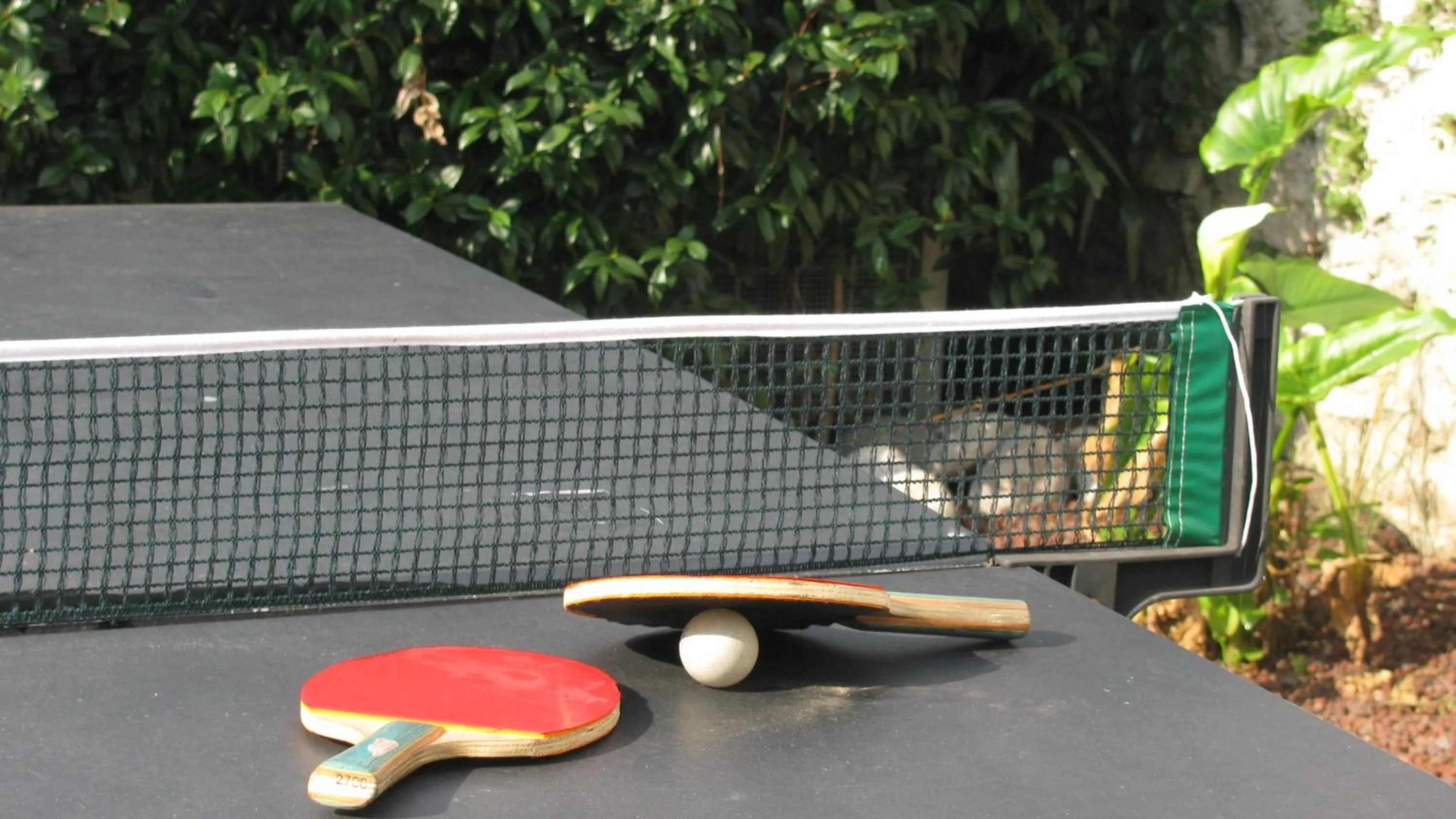 Table tennis in Hotel Villa Claudia