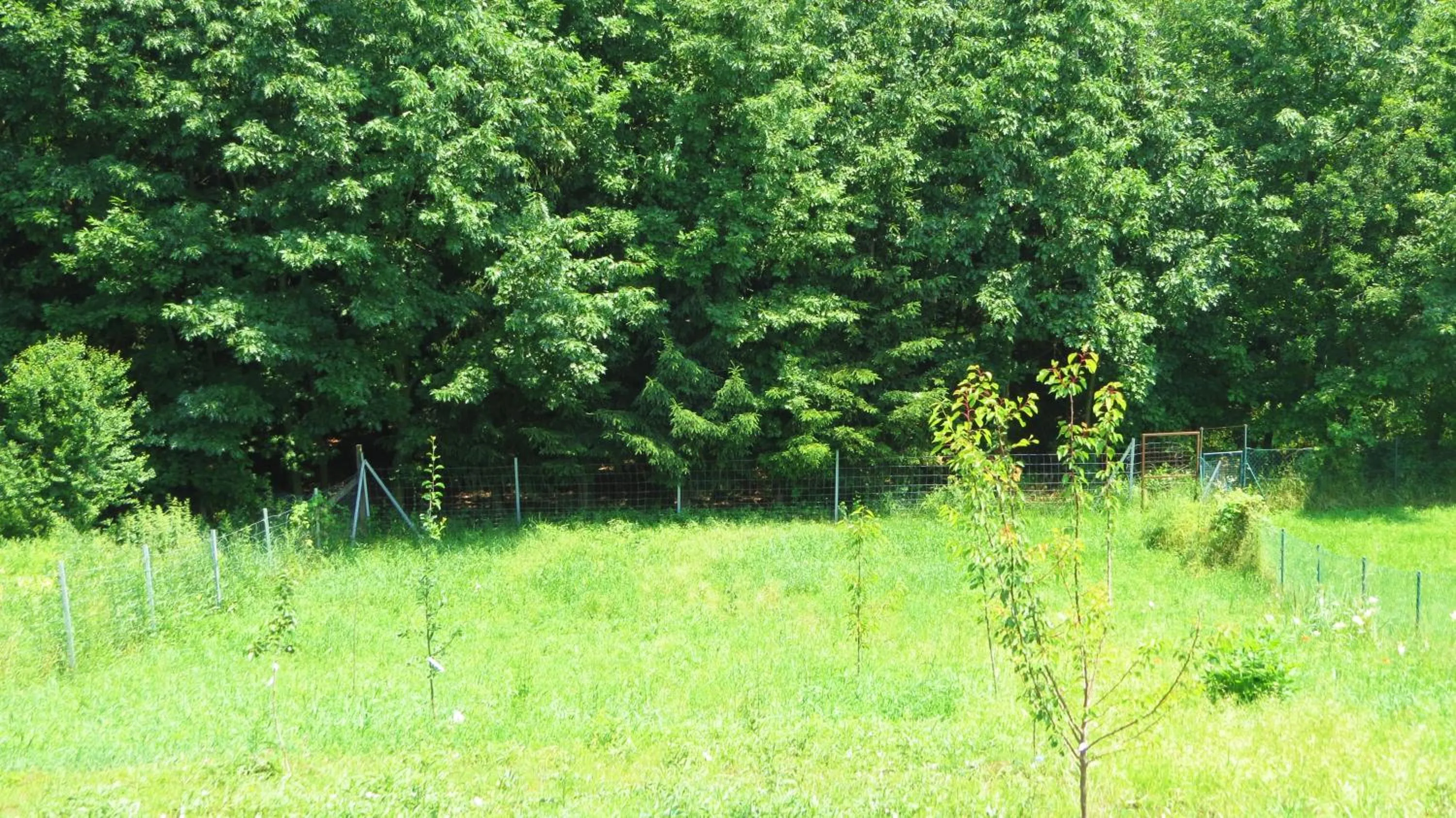 Hőforrás Wellness Vendégház