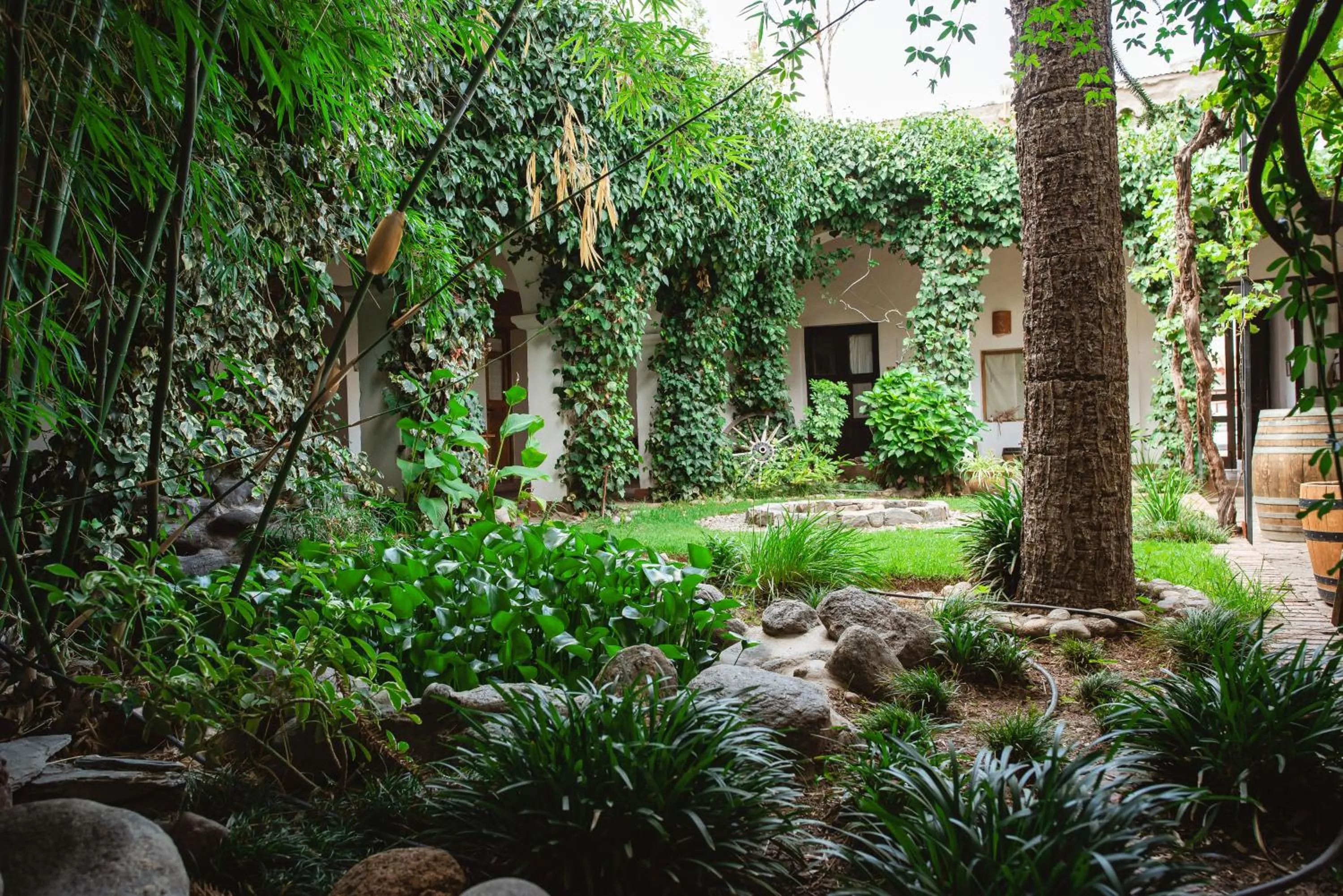 Garden view in Vieja Posada Hotel Histórico