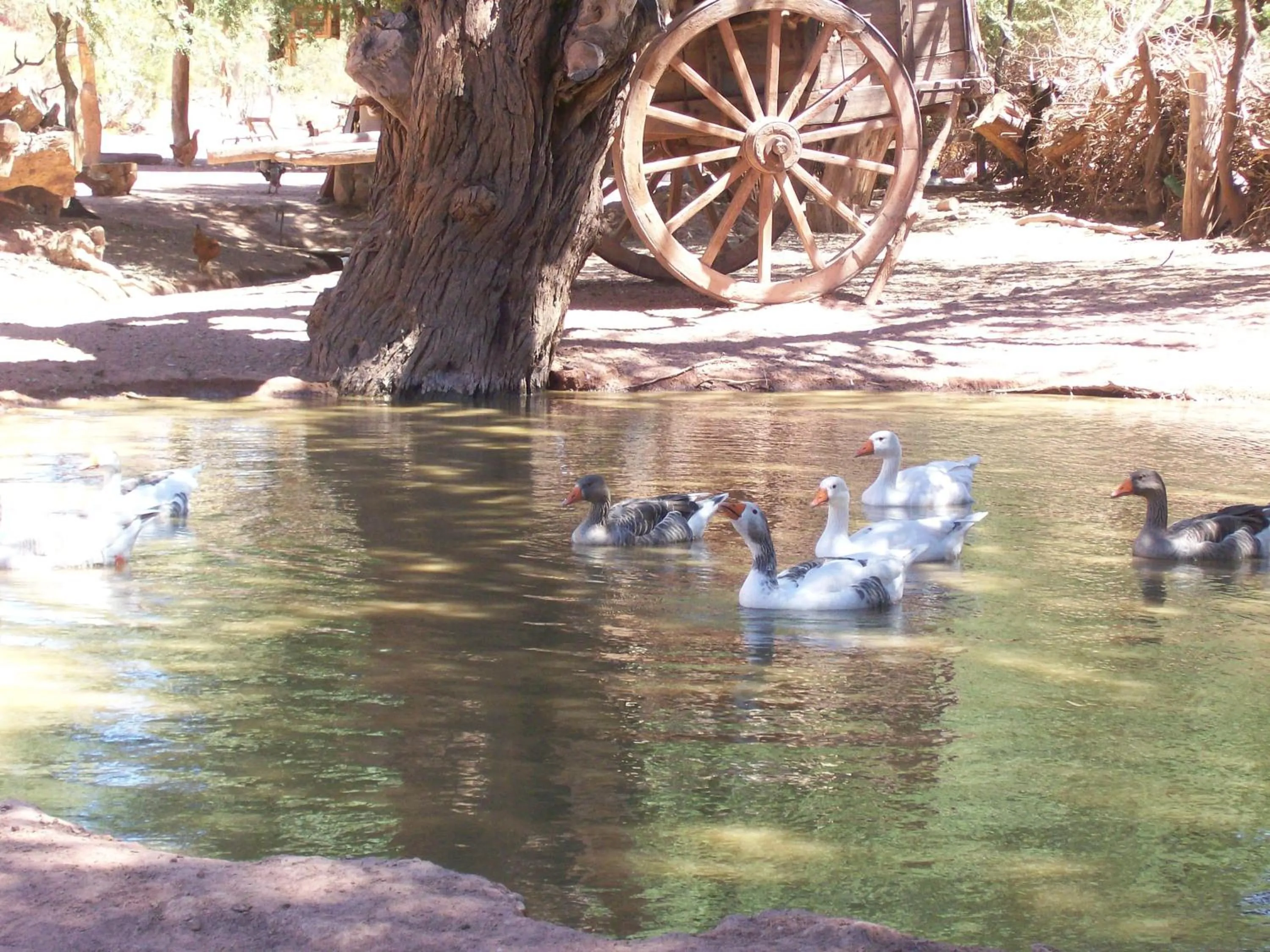 Natural landscape in Vieja Posada Hotel Histórico